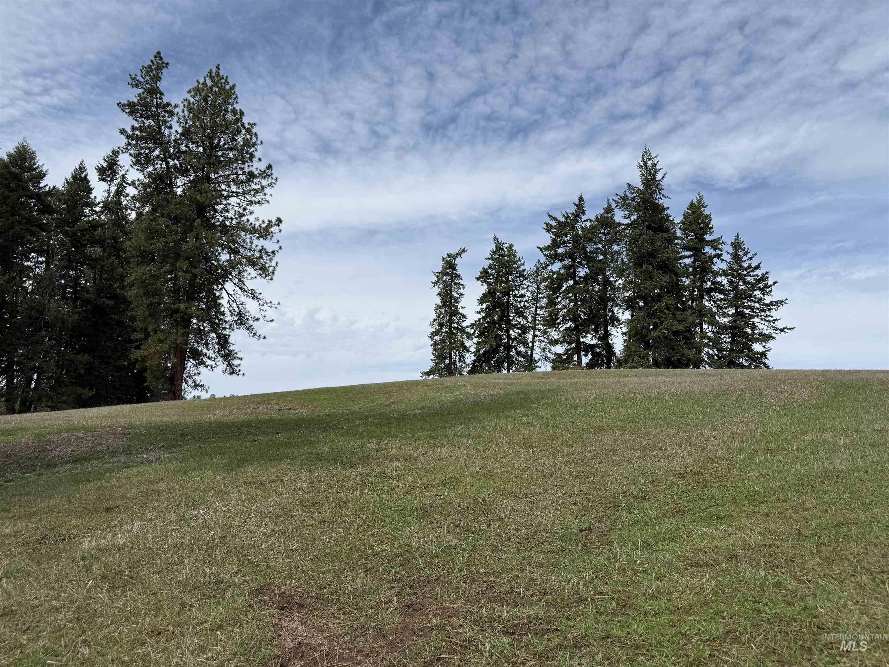 1188 Kidder Ridge, Kamiah, Idaho 83536, Land For Sale, Price $1,261,995,MLS 98979716