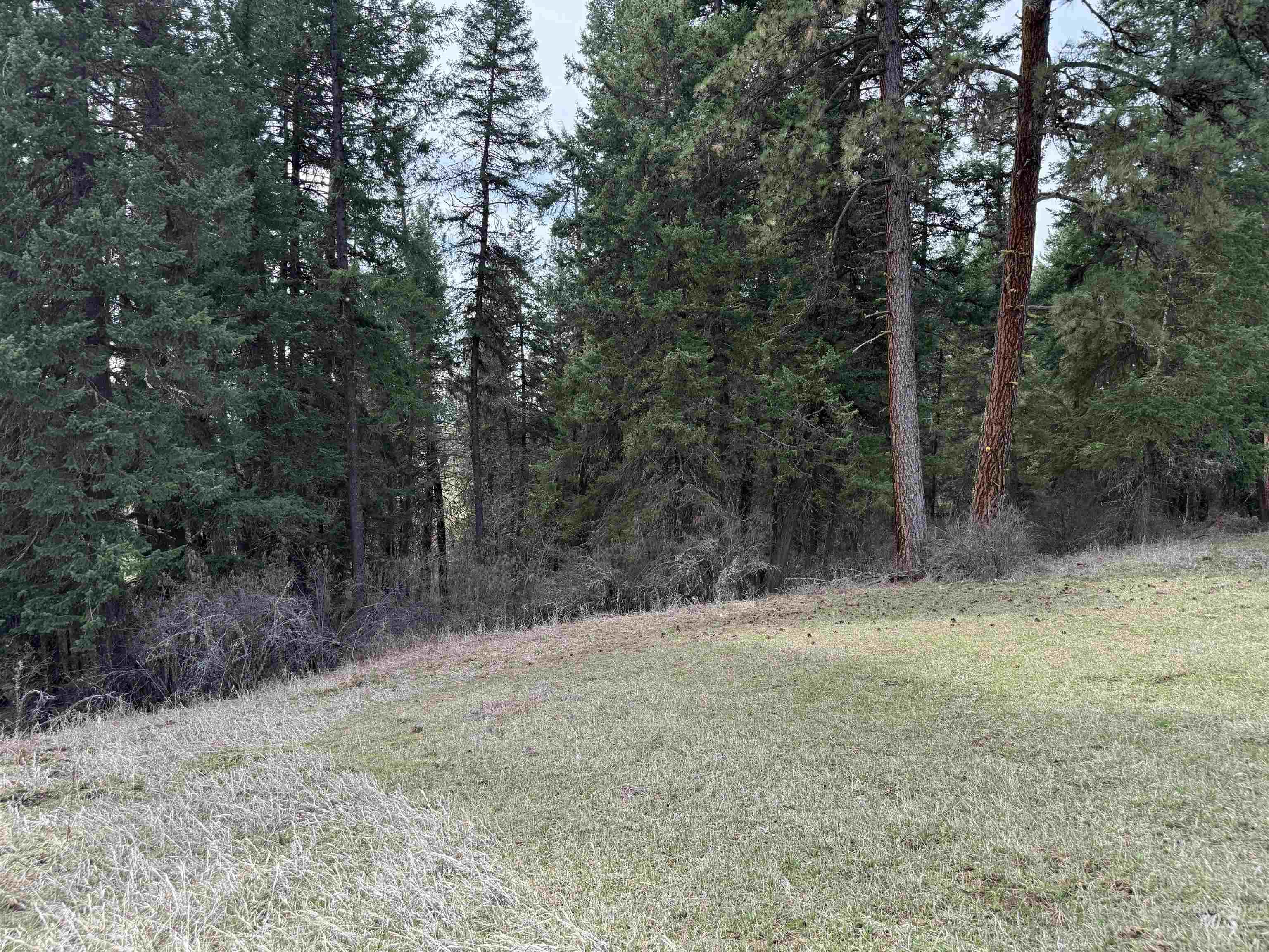 1188 Kidder Ridge, Kamiah, Idaho 83536, Land For Sale, Price $1,261,995,MLS 98979716