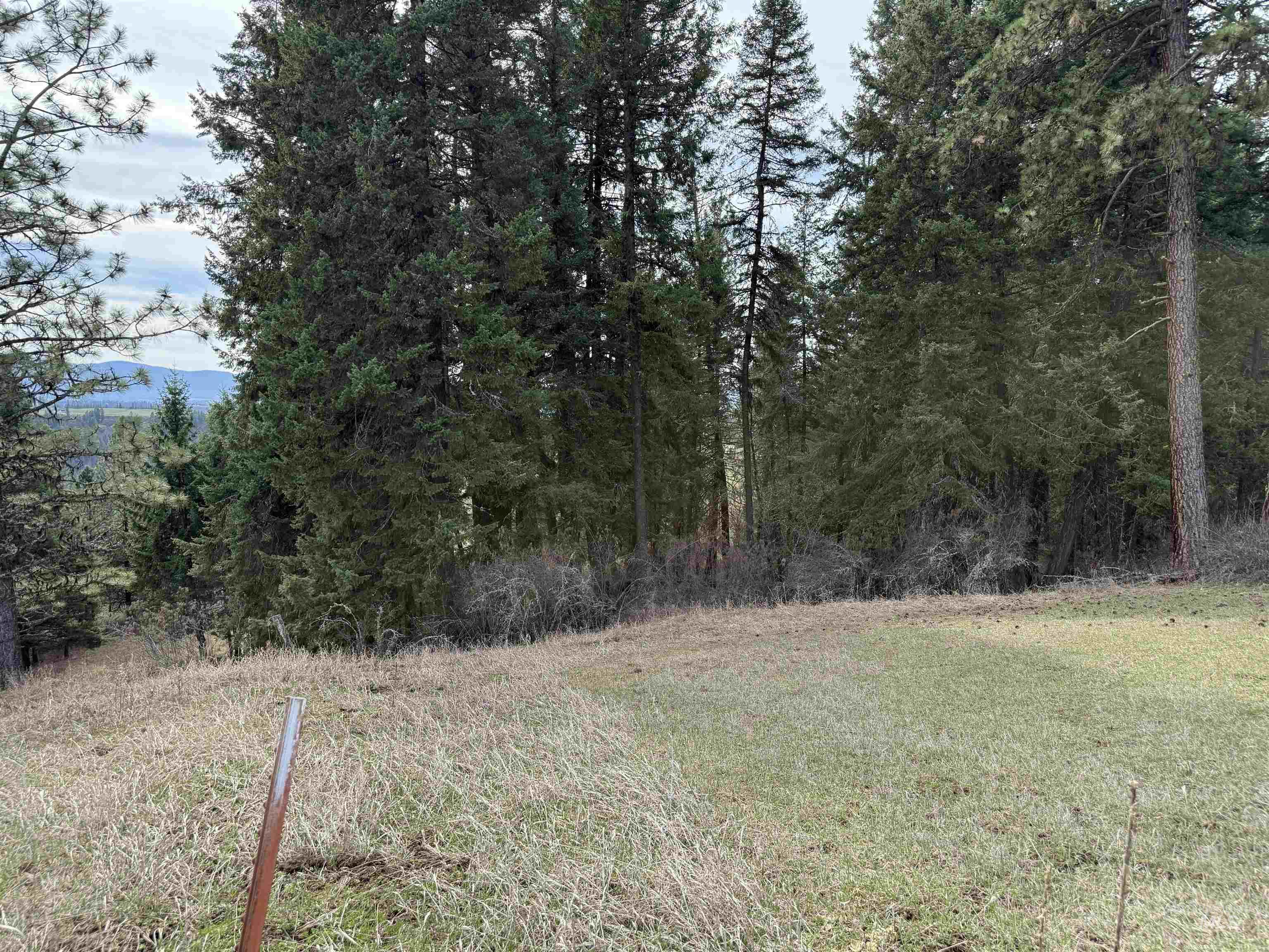 1188 Kidder Ridge, Kamiah, Idaho 83536, Land For Sale, Price $1,261,995,MLS 98979716