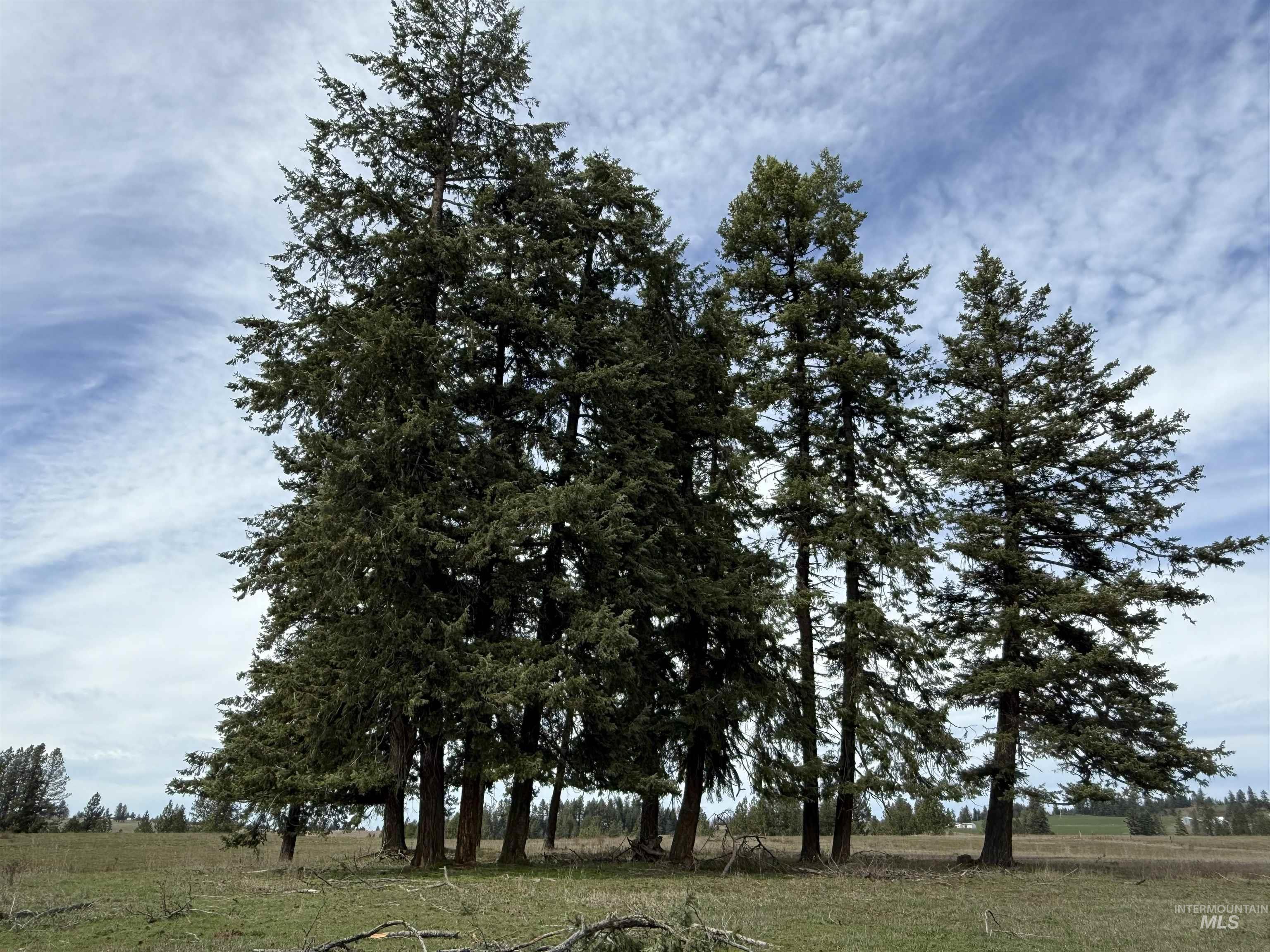 1188 Kidder Ridge, Kamiah, Idaho 83536, Land For Sale, Price $1,261,995,MLS 98979716