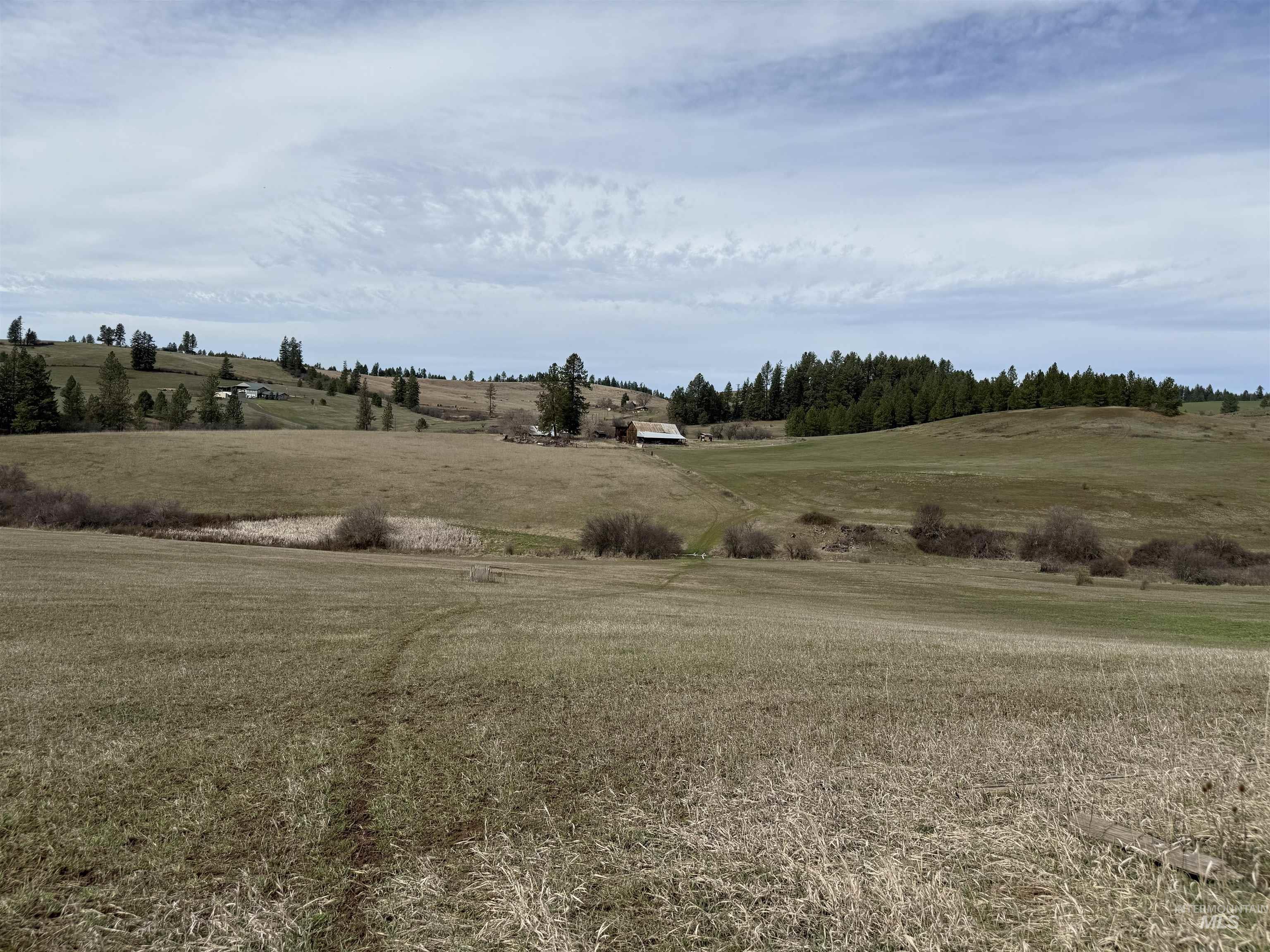 1188 Kidder Ridge, Kamiah, Idaho 83536, Land For Sale, Price $1,261,995,MLS 98979716