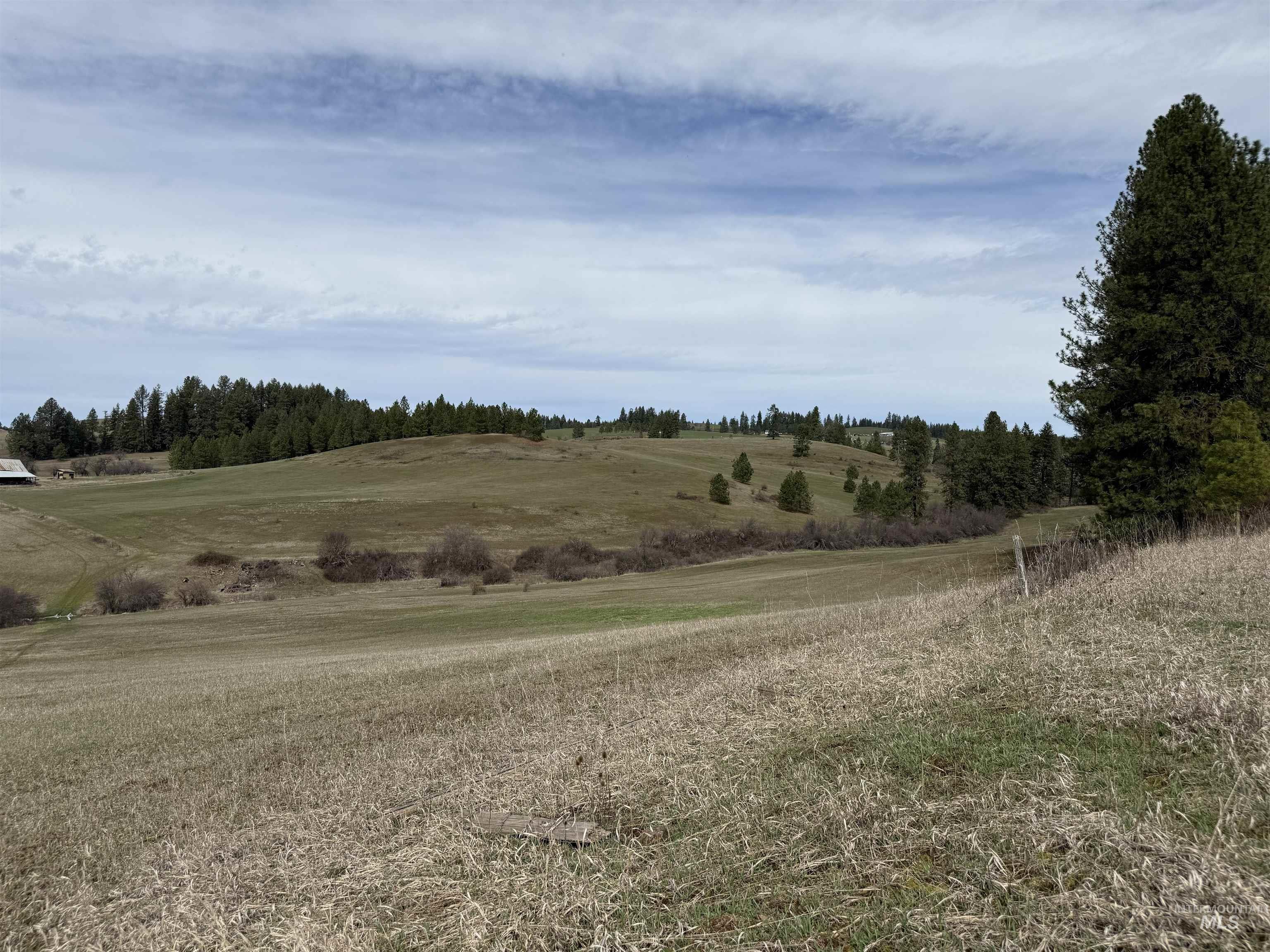 1188 Kidder Ridge, Kamiah, Idaho 83536, Land For Sale, Price $1,261,995,MLS 98979716