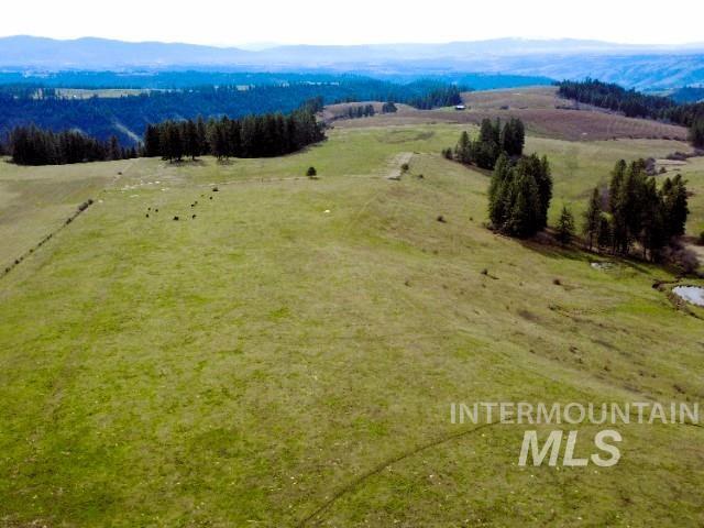 1188 Kidder Ridge, Kamiah, Idaho 83536, Land For Sale, Price $1,261,995,MLS 98979716