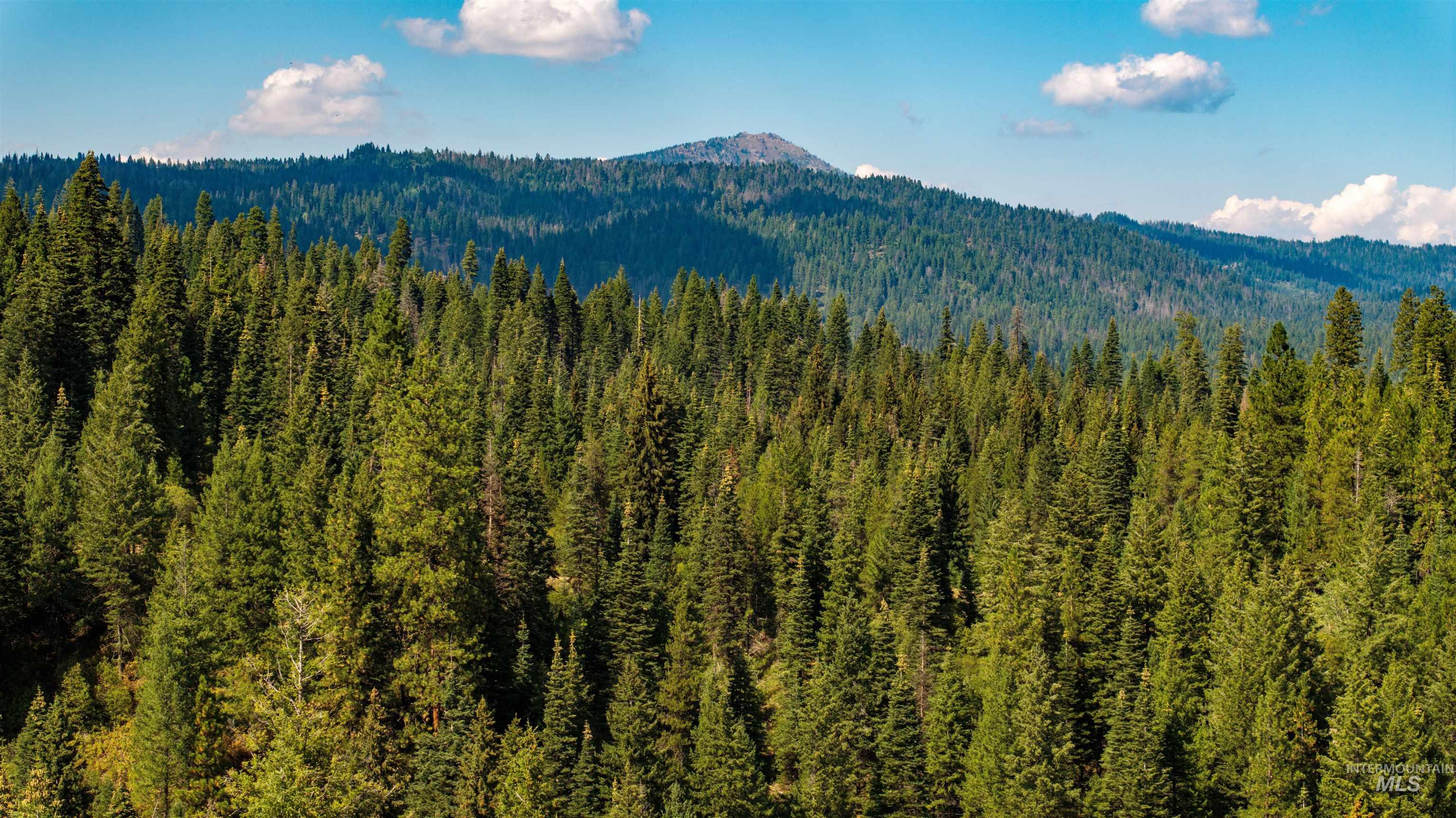 TBD 2 High Valley Road, High Valley, Idaho 83611, Land For Sale, Price $760,000,MLS 98979727