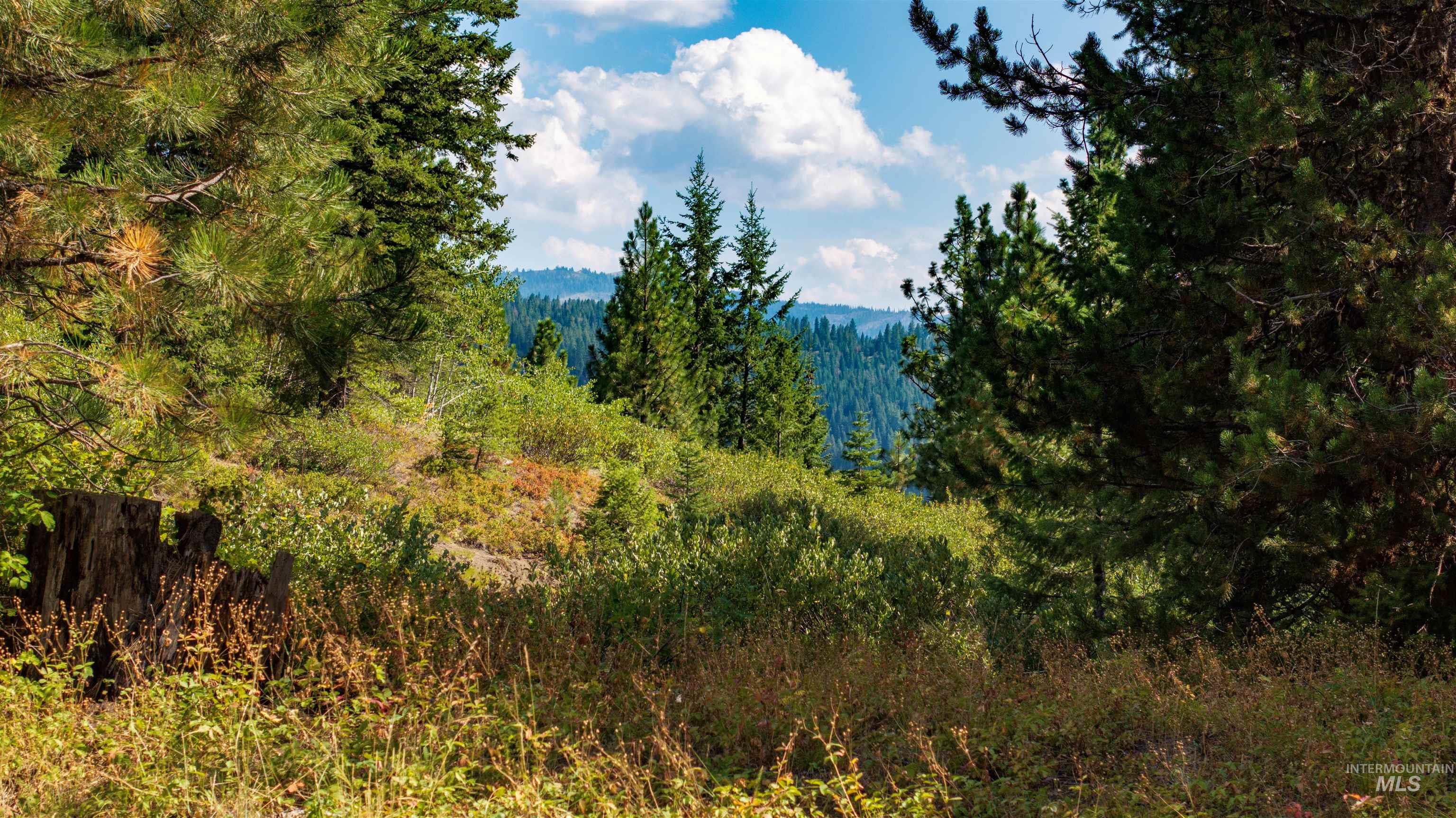 TBD 2 High Valley Road, High Valley, Idaho 83611, Land For Sale, Price $760,000,MLS 98979727