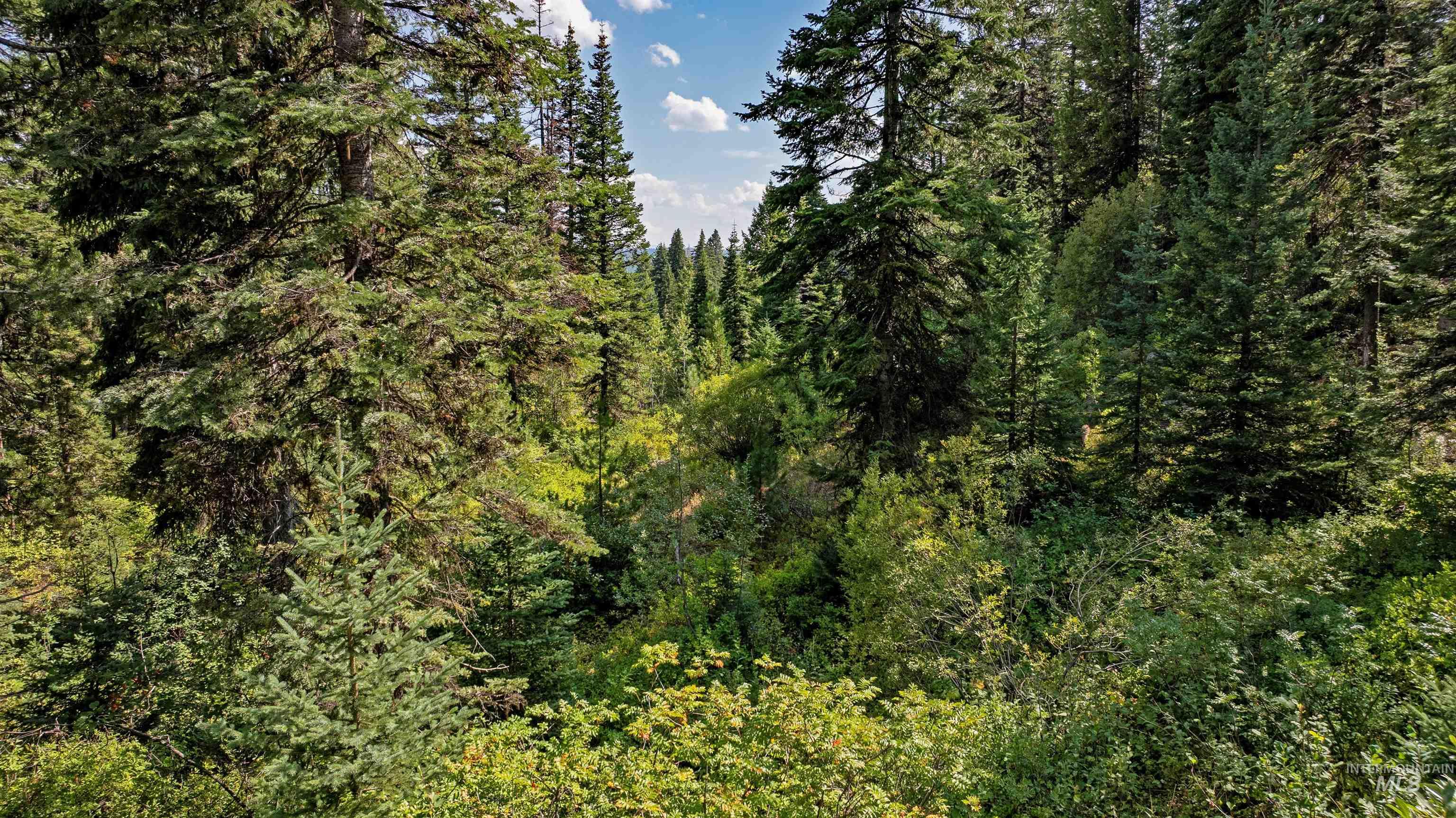 TBD 2 High Valley Road, High Valley, Idaho 83611, Land For Sale, Price $760,000,MLS 98979727