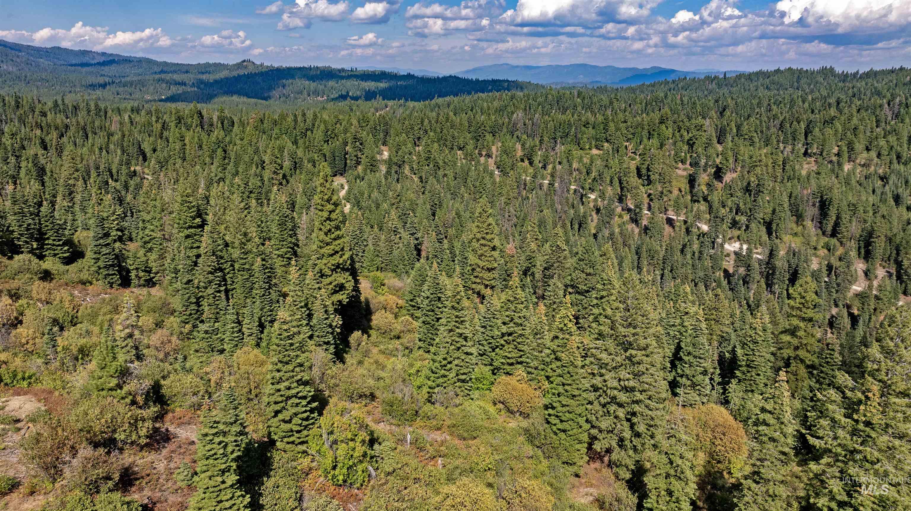 TBD 2 High Valley Road, High Valley, Idaho 83611, Land For Sale, Price $760,000,MLS 98979727