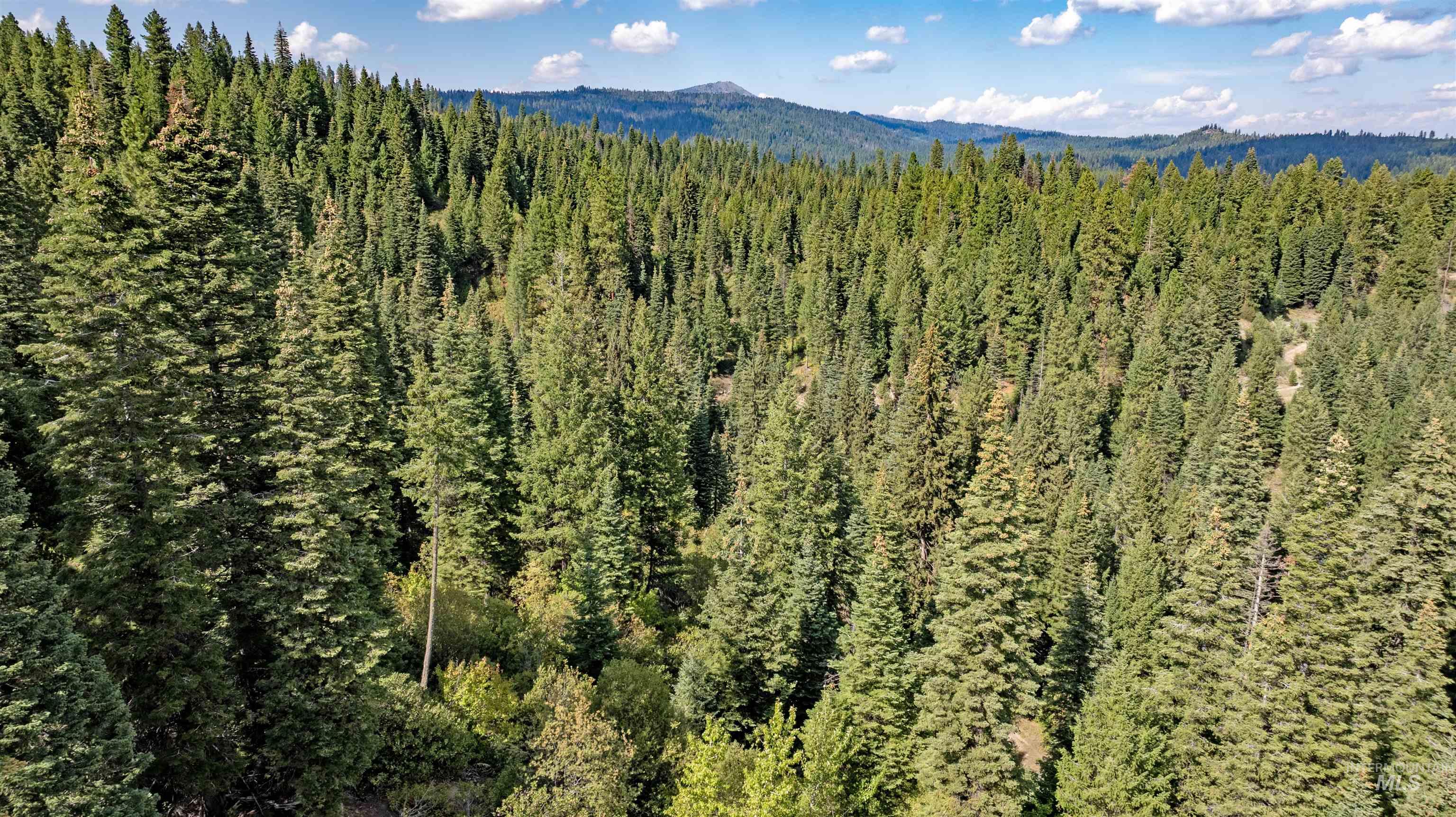 TBD 2 High Valley Road, High Valley, Idaho 83611, Land For Sale, Price $760,000,MLS 98979727