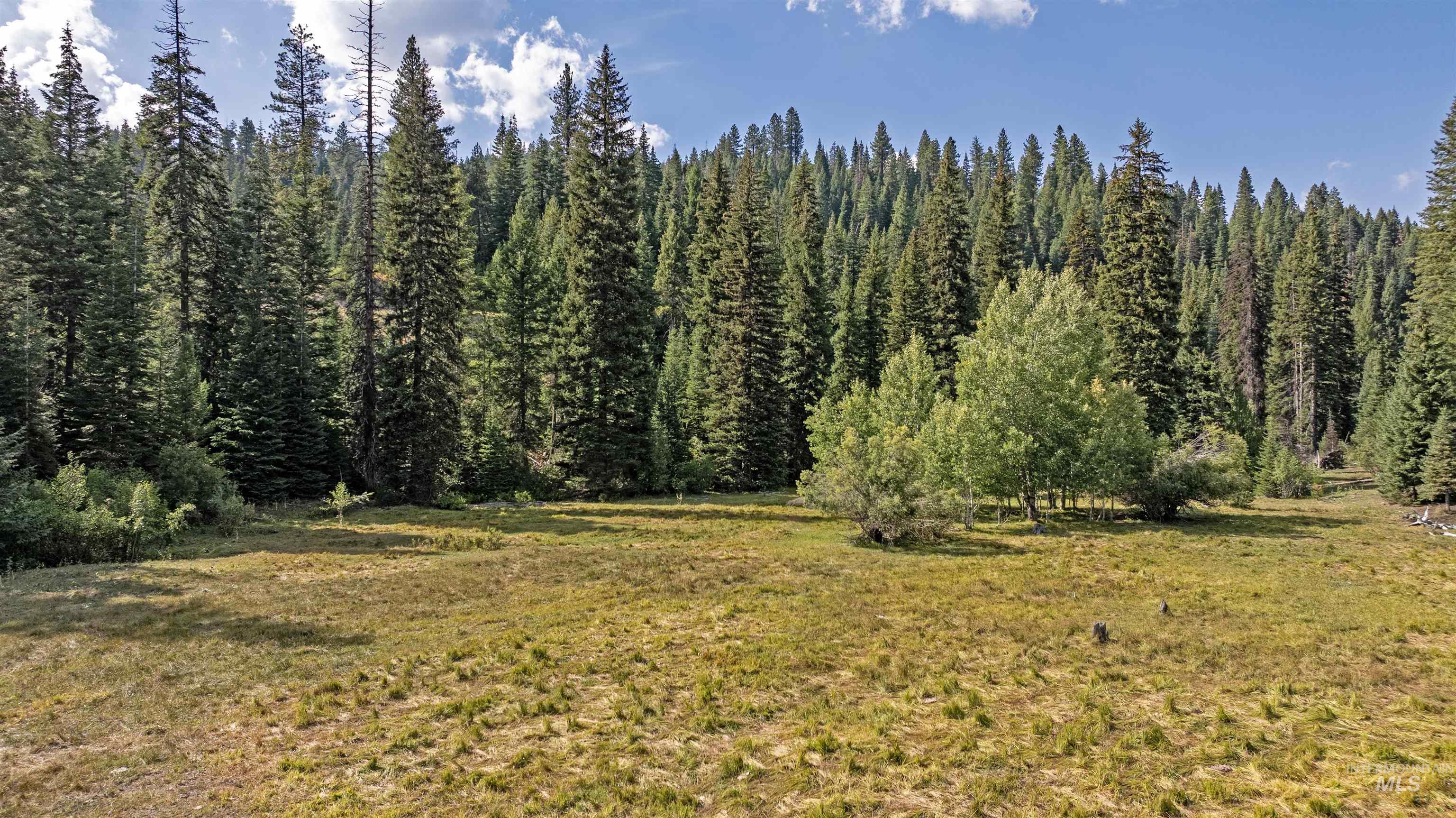 TBD 2 High Valley Road, High Valley, Idaho 83611, Land For Sale, Price $760,000,MLS 98979727