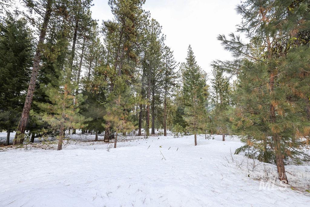 Lot 20 Blackhawk Lake Dr, McCall, Idaho 83638, Land For Sale, Price $299,000, 98979763
