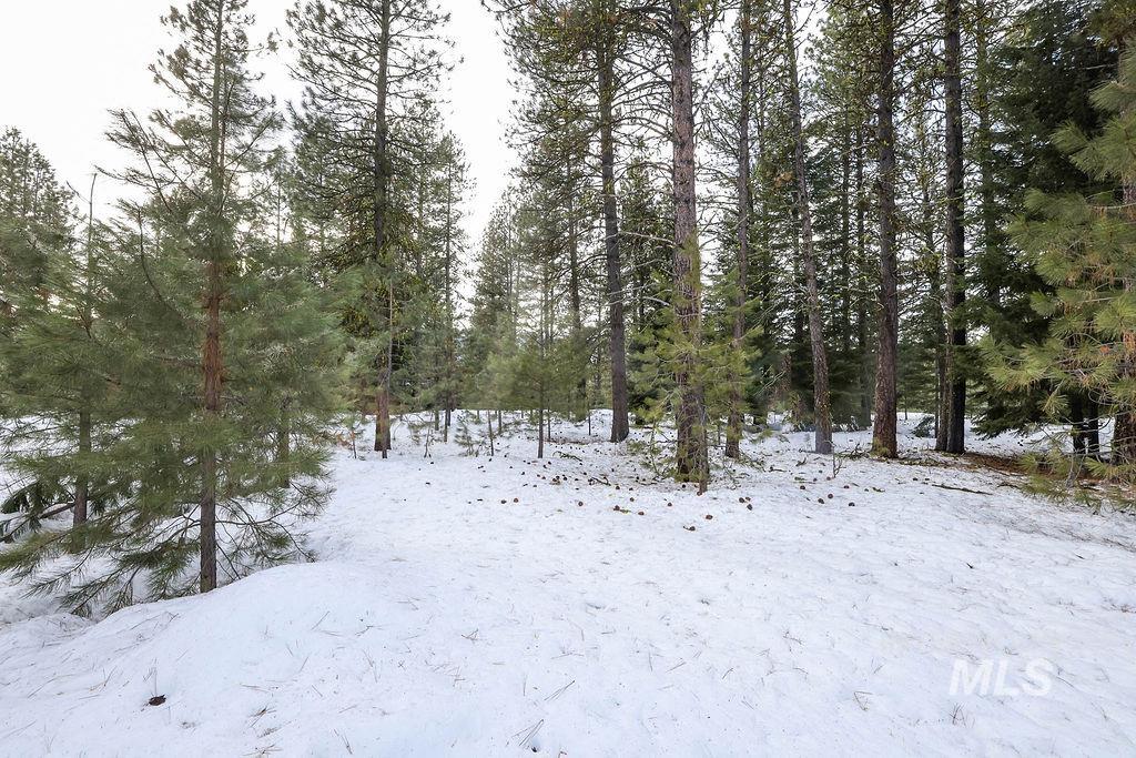 Lot 20 Blackhawk Lake Dr, McCall, Idaho 83638, Land For Sale, Price $299,000, 98979763