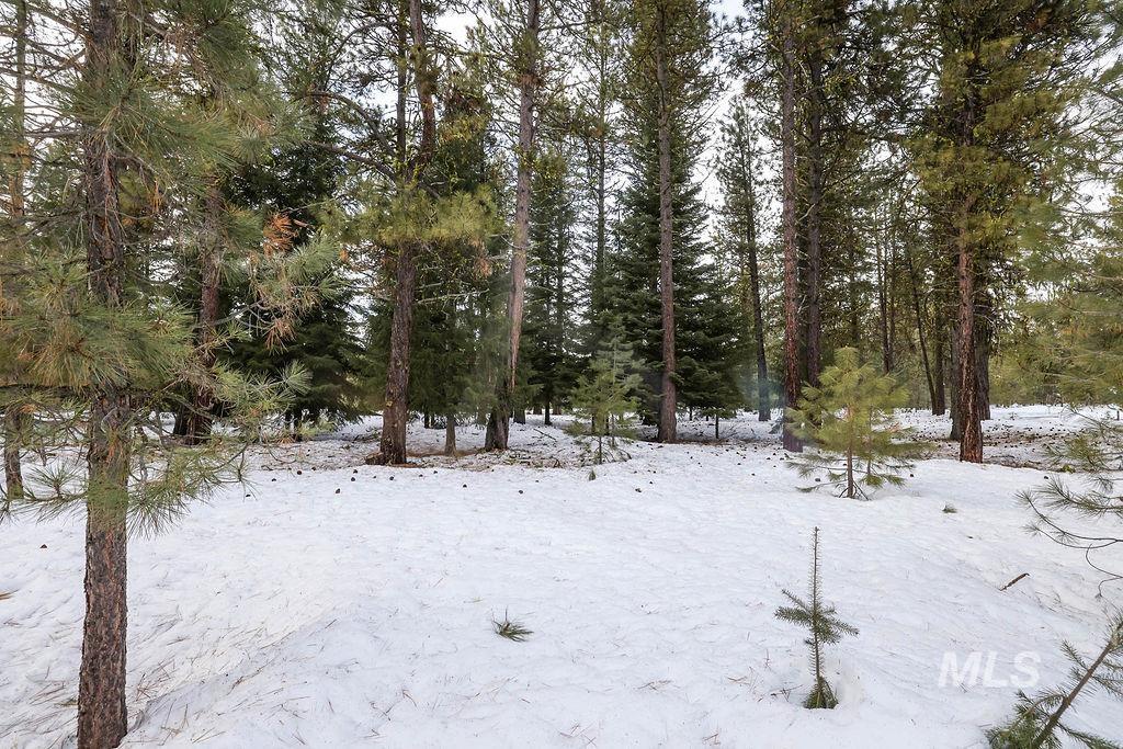 Lot 20 Blackhawk Lake Dr, McCall, Idaho 83638, Land For Sale, Price $299,000, 98979763