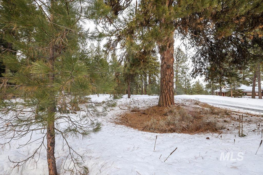 Lot 20 Blackhawk Lake Dr, McCall, Idaho 83638, Land For Sale, Price $299,000, 98979763