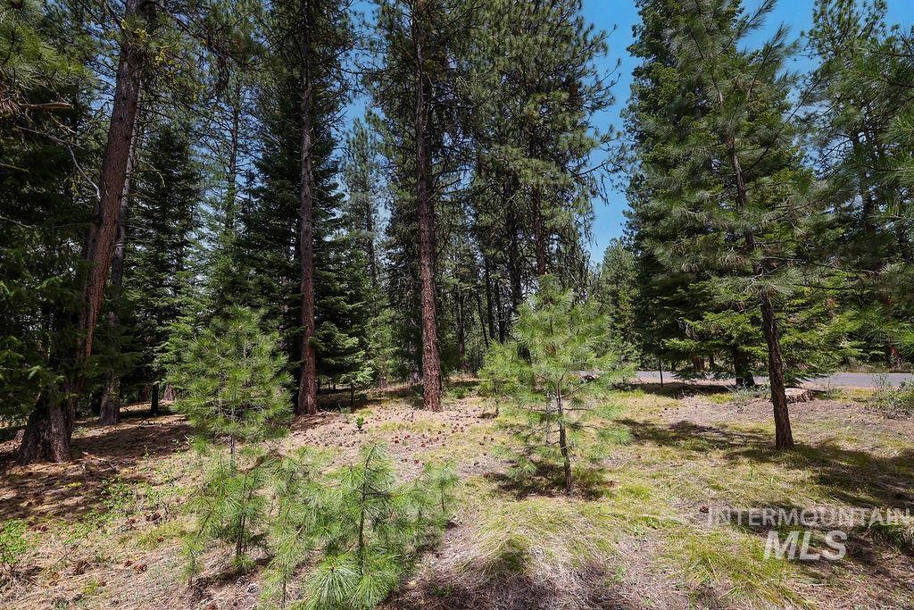Lot 20 Blackhawk Lake Dr, McCall, Idaho 83638, Land For Sale, Price $299,000, 98979763