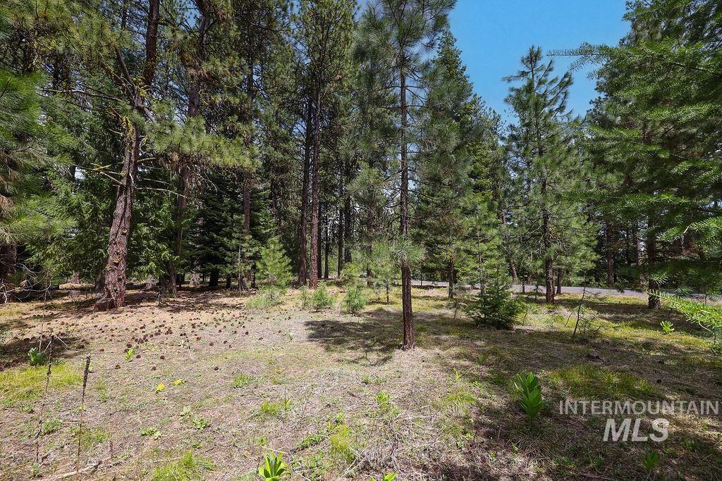 Lot 20 Blackhawk Lake Dr, McCall, Idaho 83638, Land For Sale, Price $299,000, 98979763