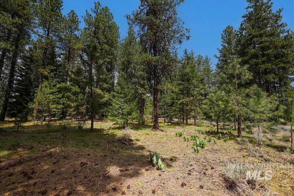 Lot 20 Blackhawk Lake Dr, McCall, Idaho 83638, Land For Sale, Price $299,000, 98979763