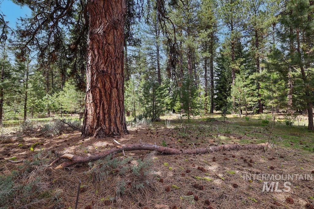 Lot 20 Blackhawk Lake Dr, McCall, Idaho 83638, Land For Sale, Price $299,000, 98979763