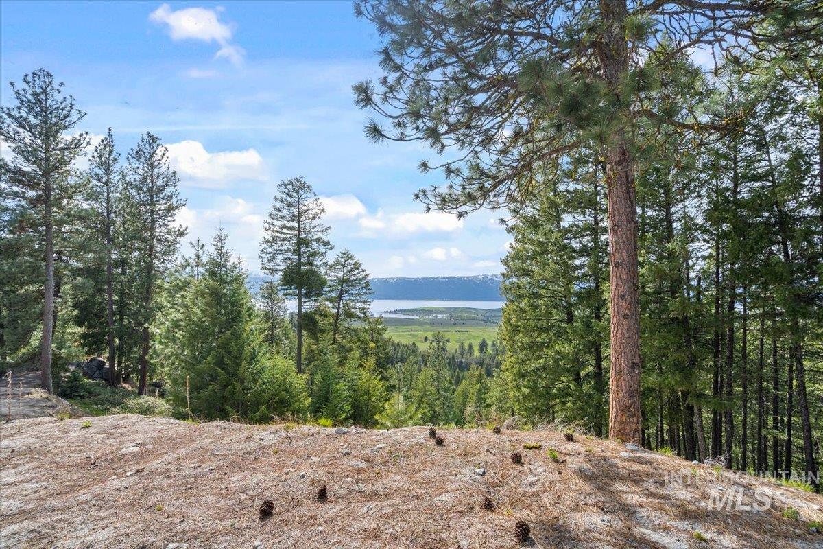 67 Little Donner Drive, Cascade, Idaho 83611, Residential For Sale, Price $1,595,000,MLS 98979779
