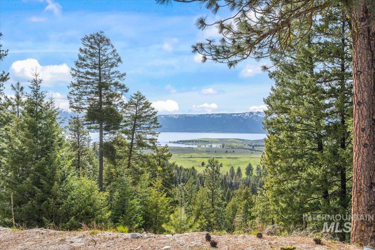 67 Little Donner Drive, Cascade, Idaho 83611, Residential For Sale, Price $1,595,000,MLS 98979779