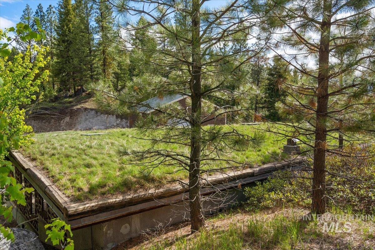 67 Little Donner Drive, Cascade, Idaho 83611, Residential For Sale, Price $1,595,000,MLS 98979779