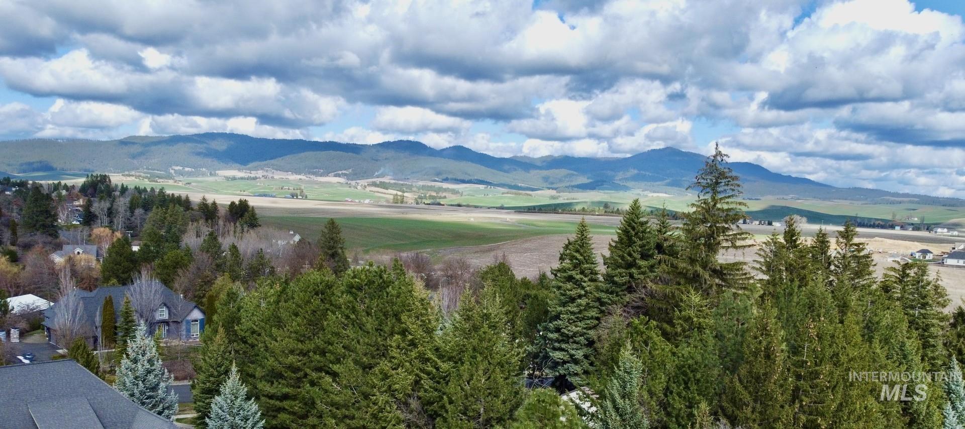 1321 Lande Lane, Moscow, Idaho 83843, 4 Bedrooms, 3 Bathrooms, Residential For Sale, Price $755,000,MLS 98979788