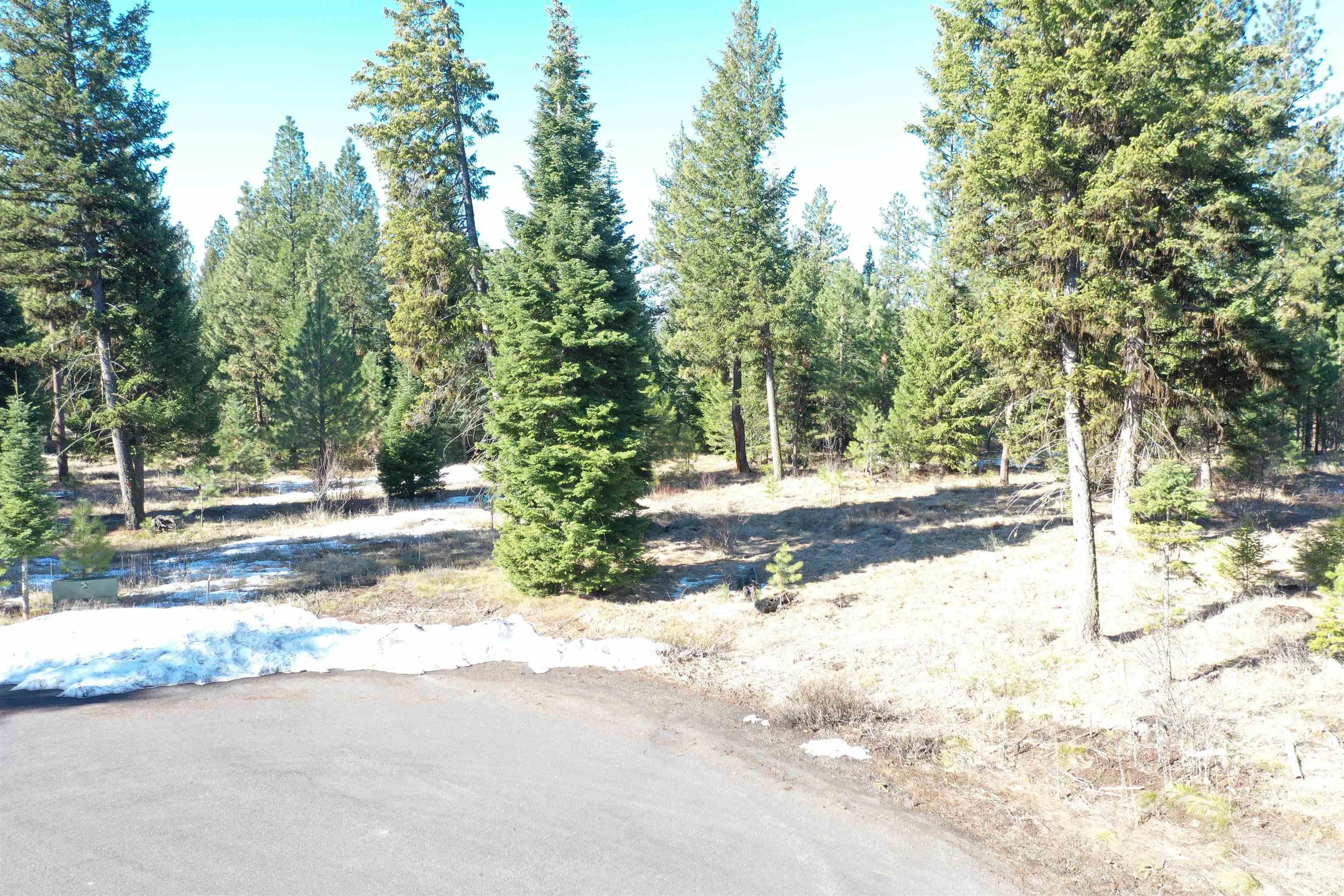 23 Moonbeam Circle, McCall, Idaho 83638, Land For Sale, Price $295,000, 98979803