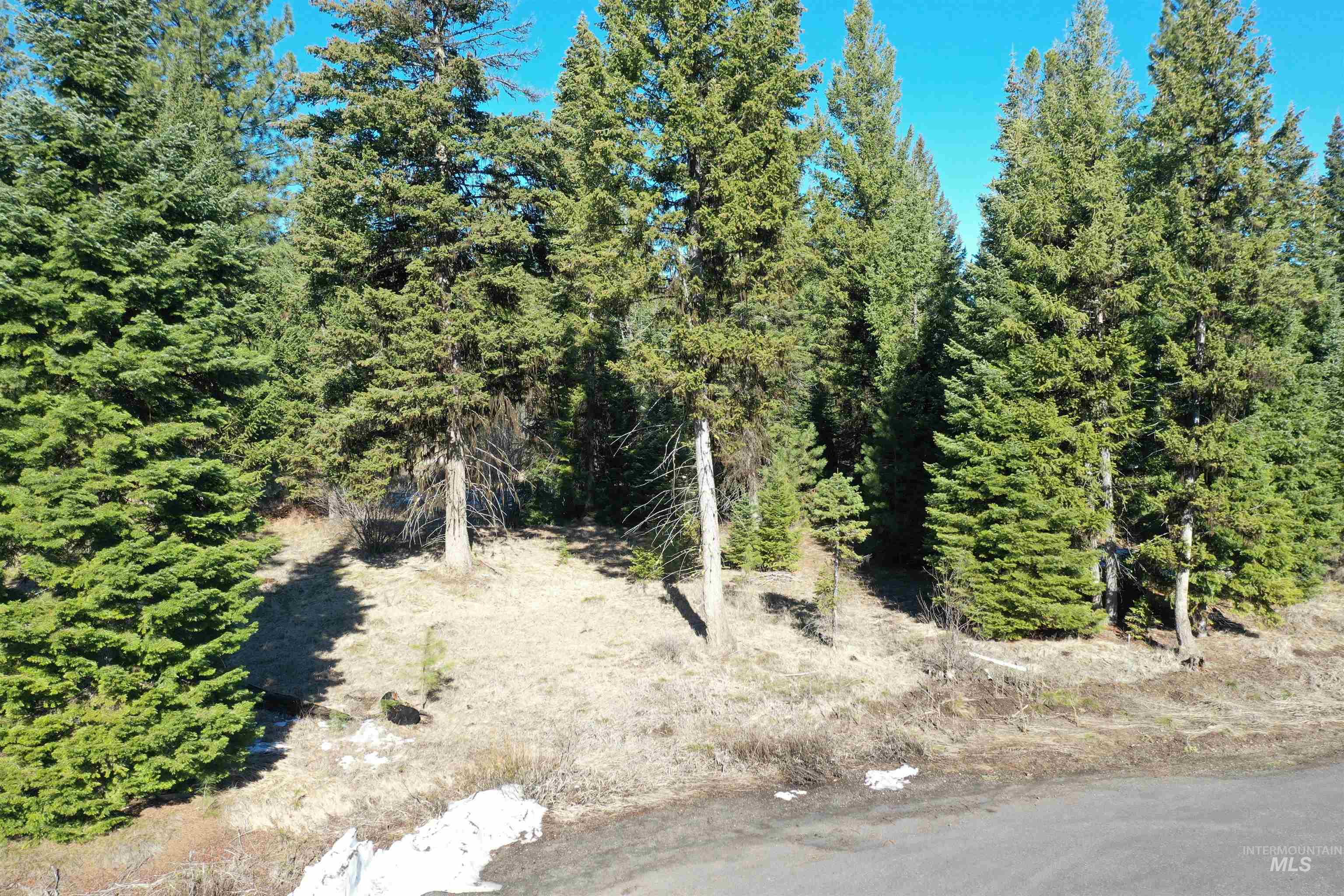 23 Moonbeam Circle, McCall, Idaho 83638, Land For Sale, Price $295,000, 98979803