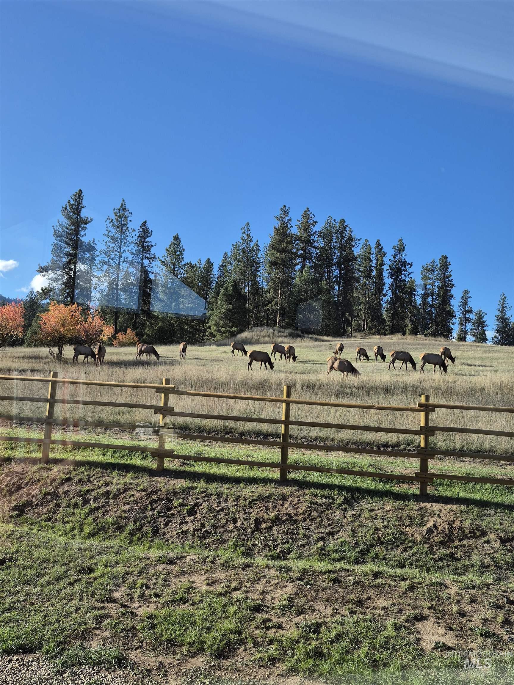 21 Open Road, Garden Valley, Idaho 83622, 2 Bedrooms, 3.5 Bathrooms, Residential For Sale, Price $1,175,000, 98979823