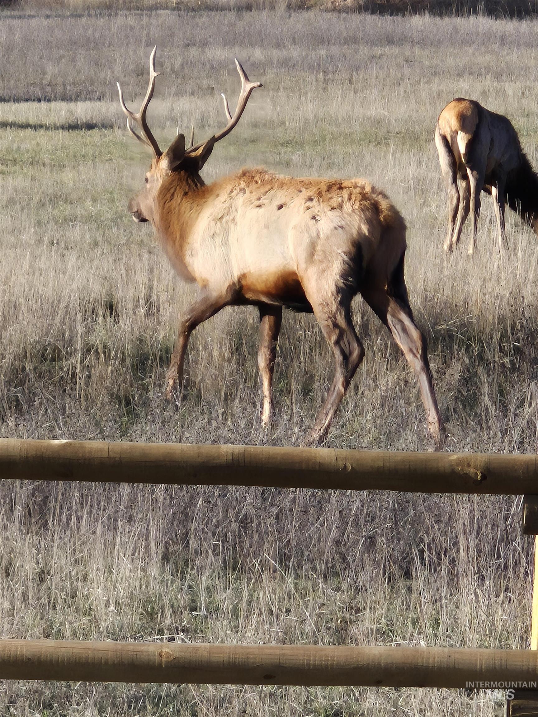 21 Open Road, Garden Valley, Idaho 83622, 2 Bedrooms, 3.5 Bathrooms, Residential For Sale, Price $1,175,000, 98979823