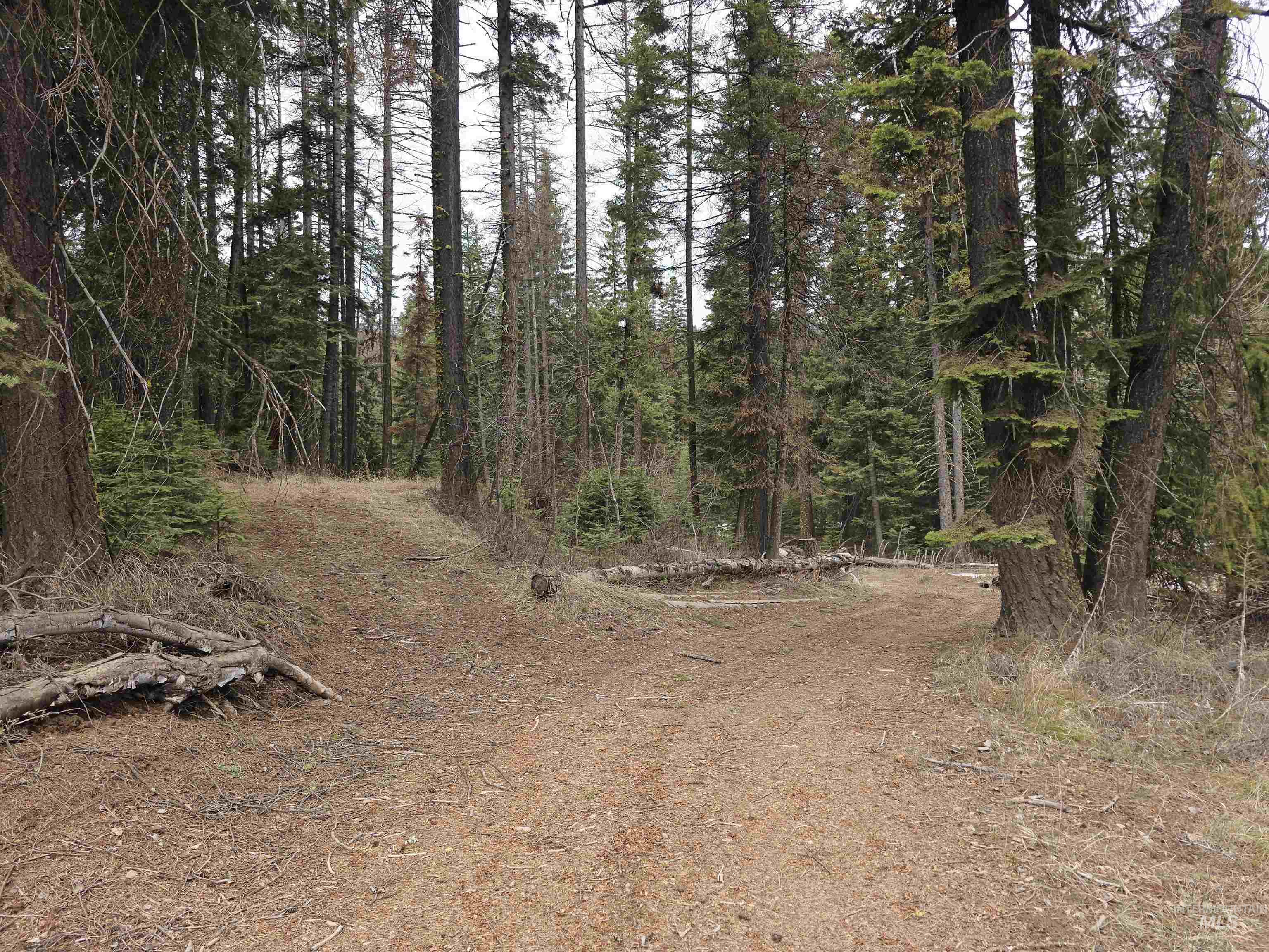 1709 West Mountain Road, Donnelly, Idaho 83615, Land For Sale, Price $239,000, 98979840