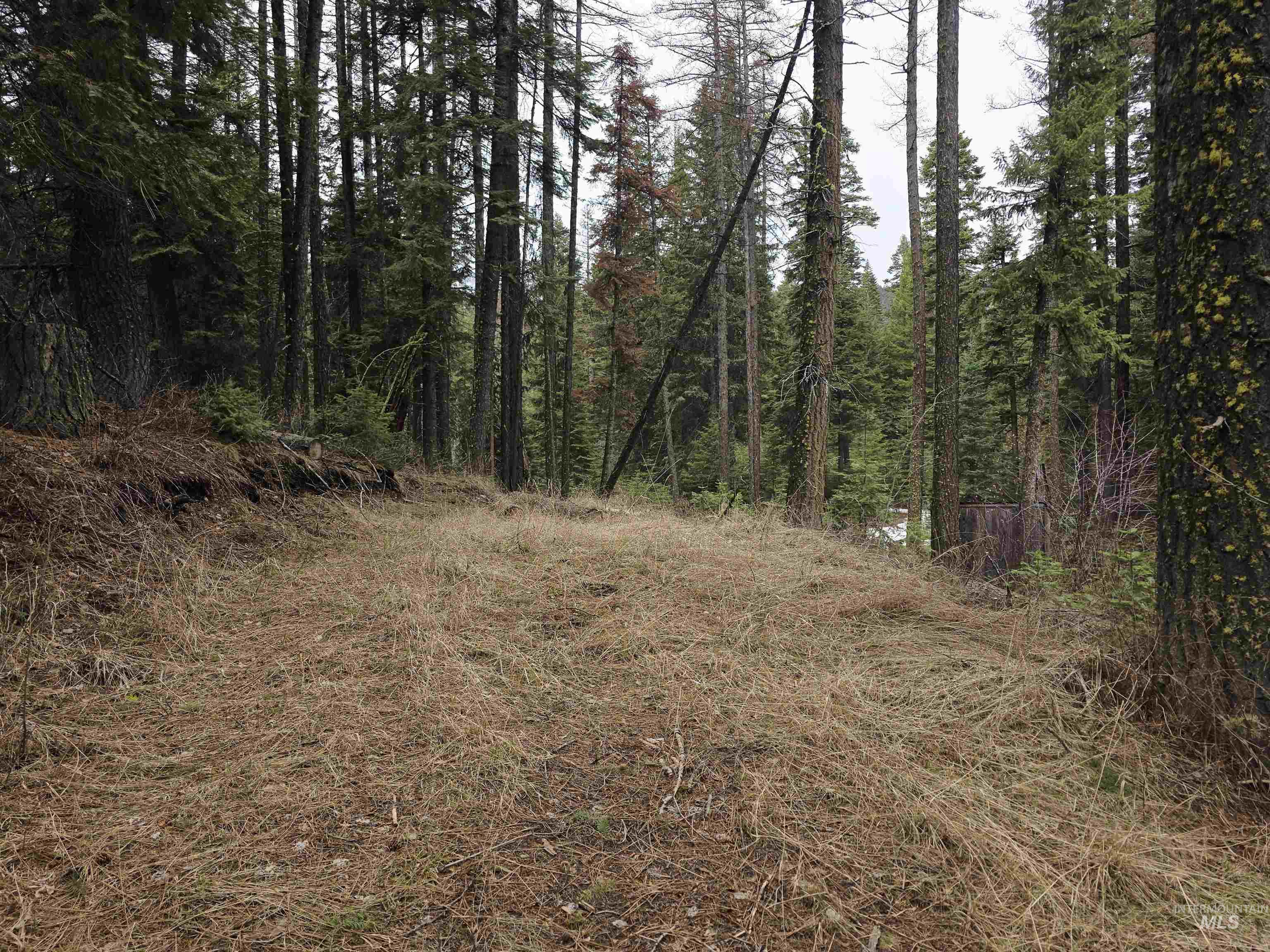 1709 West Mountain Road, Donnelly, Idaho 83615, Land For Sale, Price $239,000, 98979840