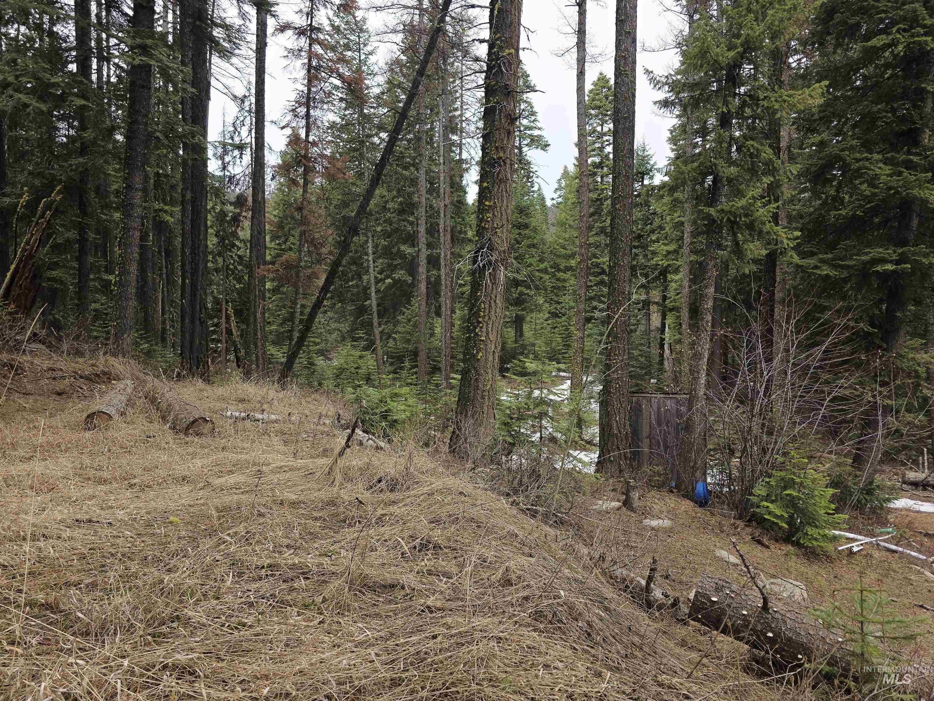 1709 West Mountain Road, Donnelly, Idaho 83615, Land For Sale, Price $239,000, 98979840