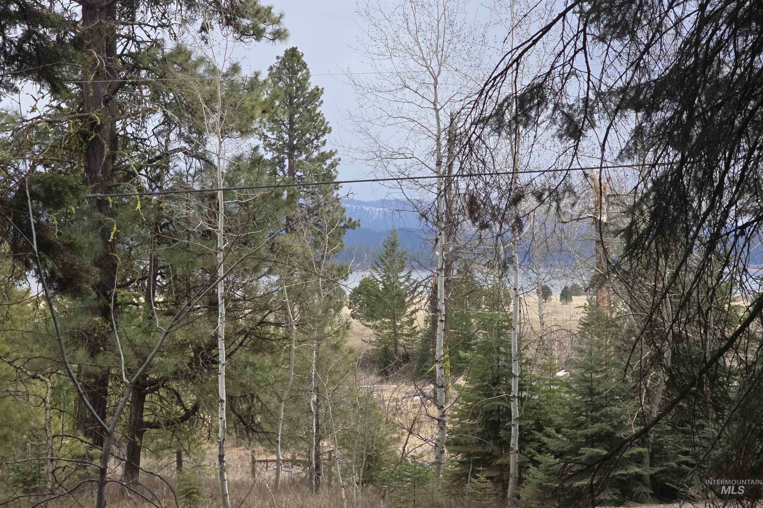 1709 West Mountain Road, Donnelly, Idaho 83615, Land For Sale, Price $239,000, 98979840