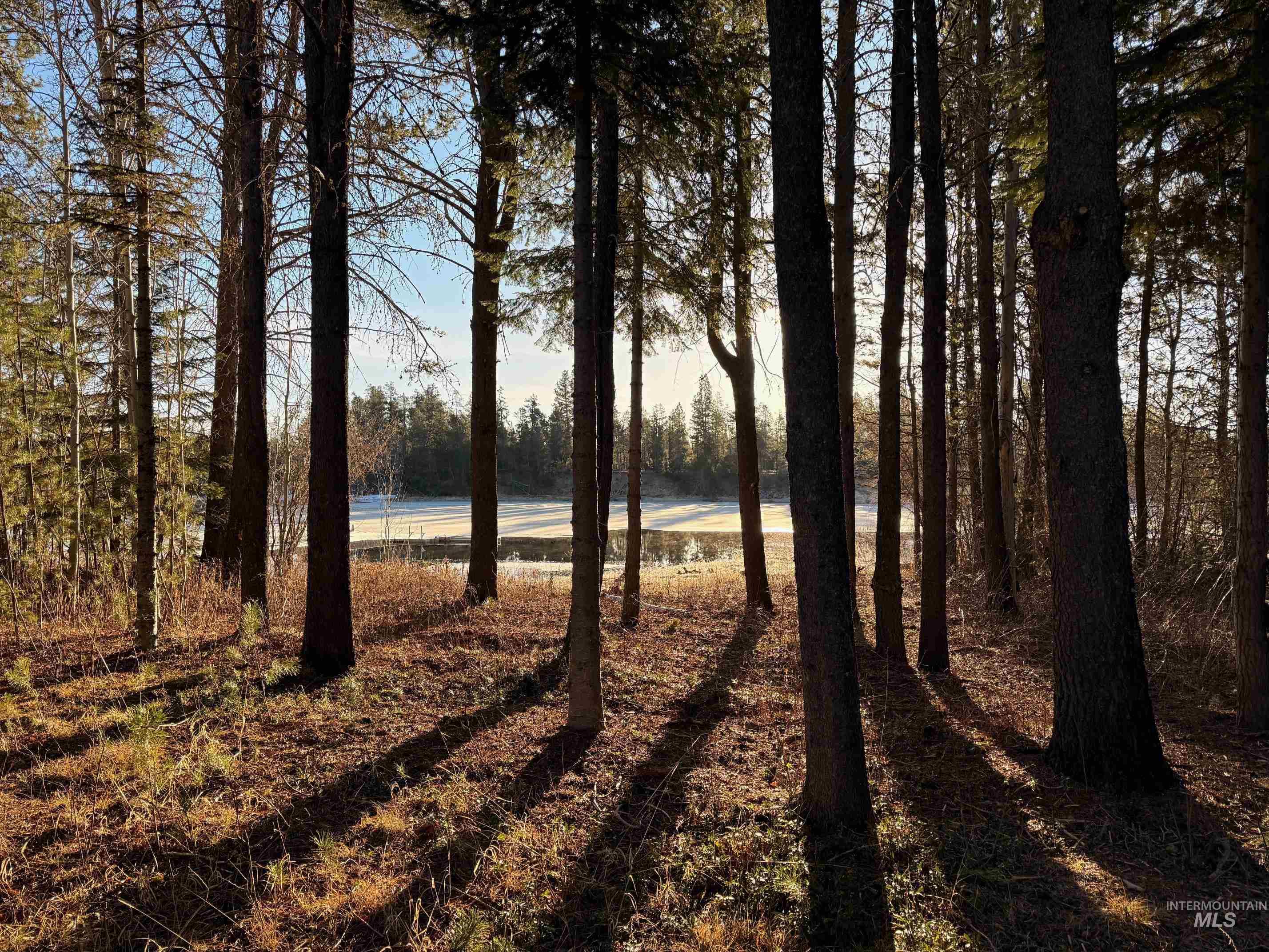 12910 DAWN DR, Donnelly, Idaho 83615, 3 Bedrooms, 2.5 Bathrooms, Residential For Sale, Price $1,200,000,MLS 98979845