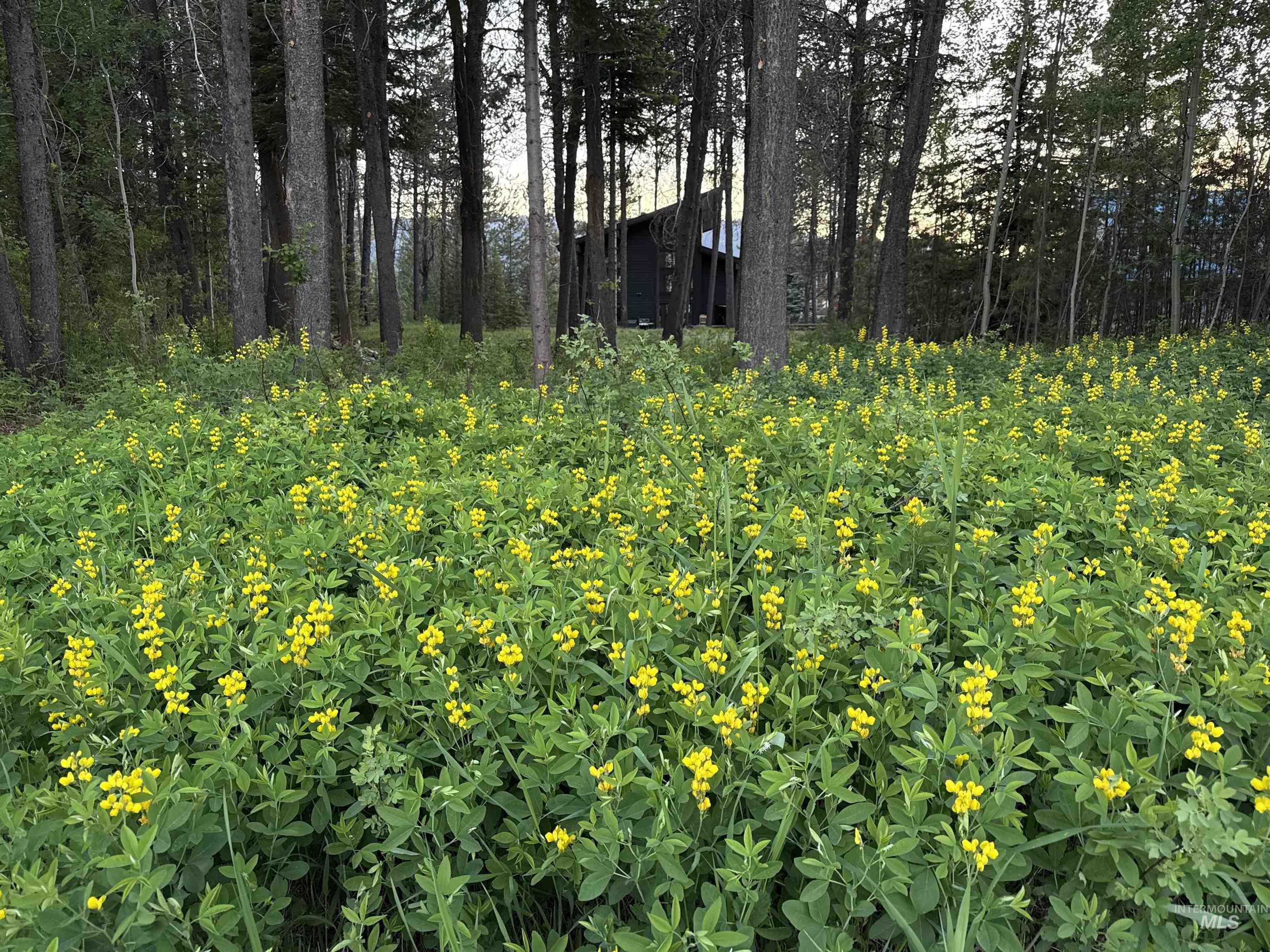 12910 DAWN DR, Donnelly, Idaho 83615, 3 Bedrooms, 2.5 Bathrooms, Residential For Sale, Price $1,200,000,MLS 98979845