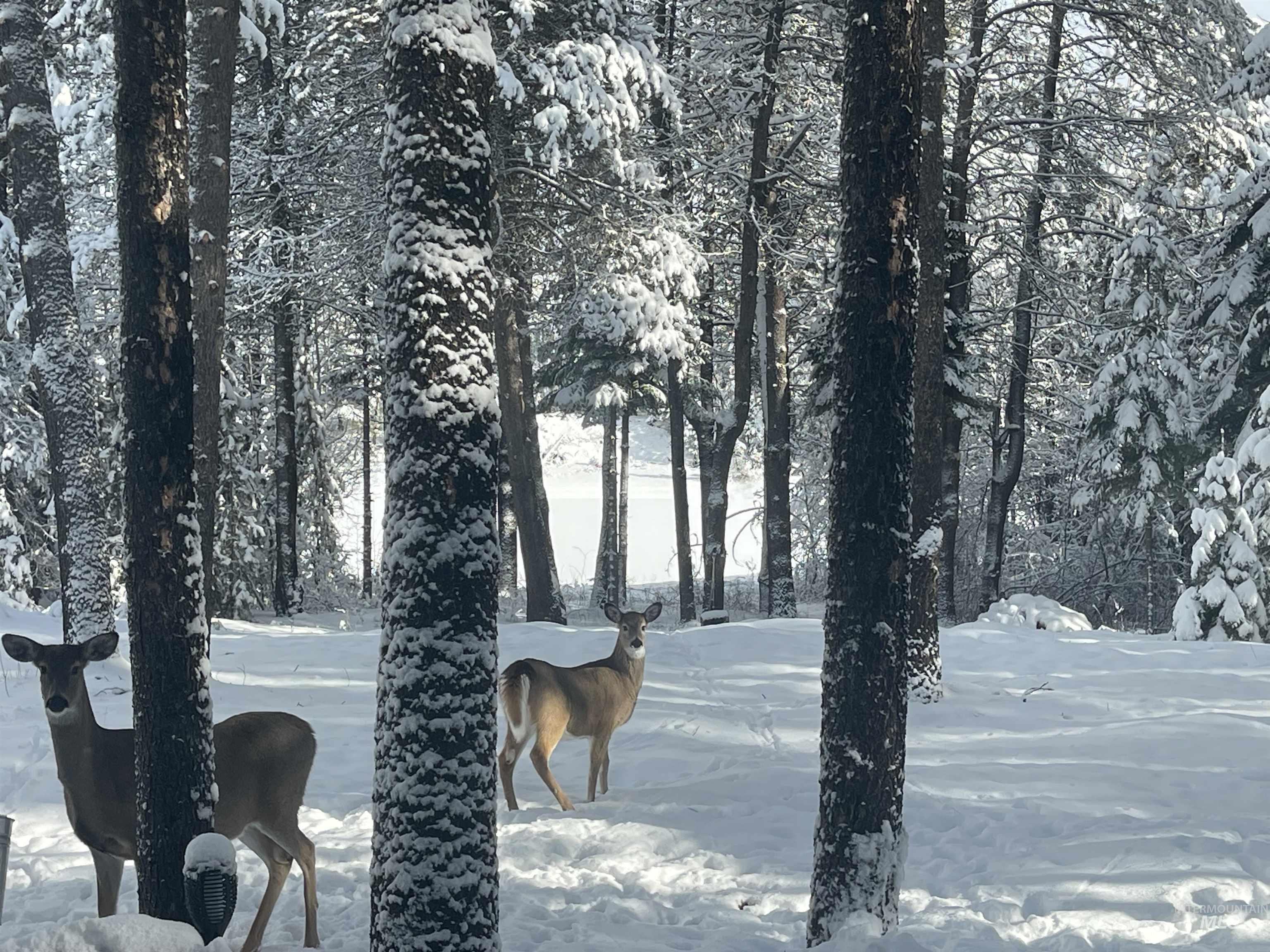 12910 DAWN DR, Donnelly, Idaho 83615, 3 Bedrooms, 2.5 Bathrooms, Residential For Sale, Price $1,200,000,MLS 98979845