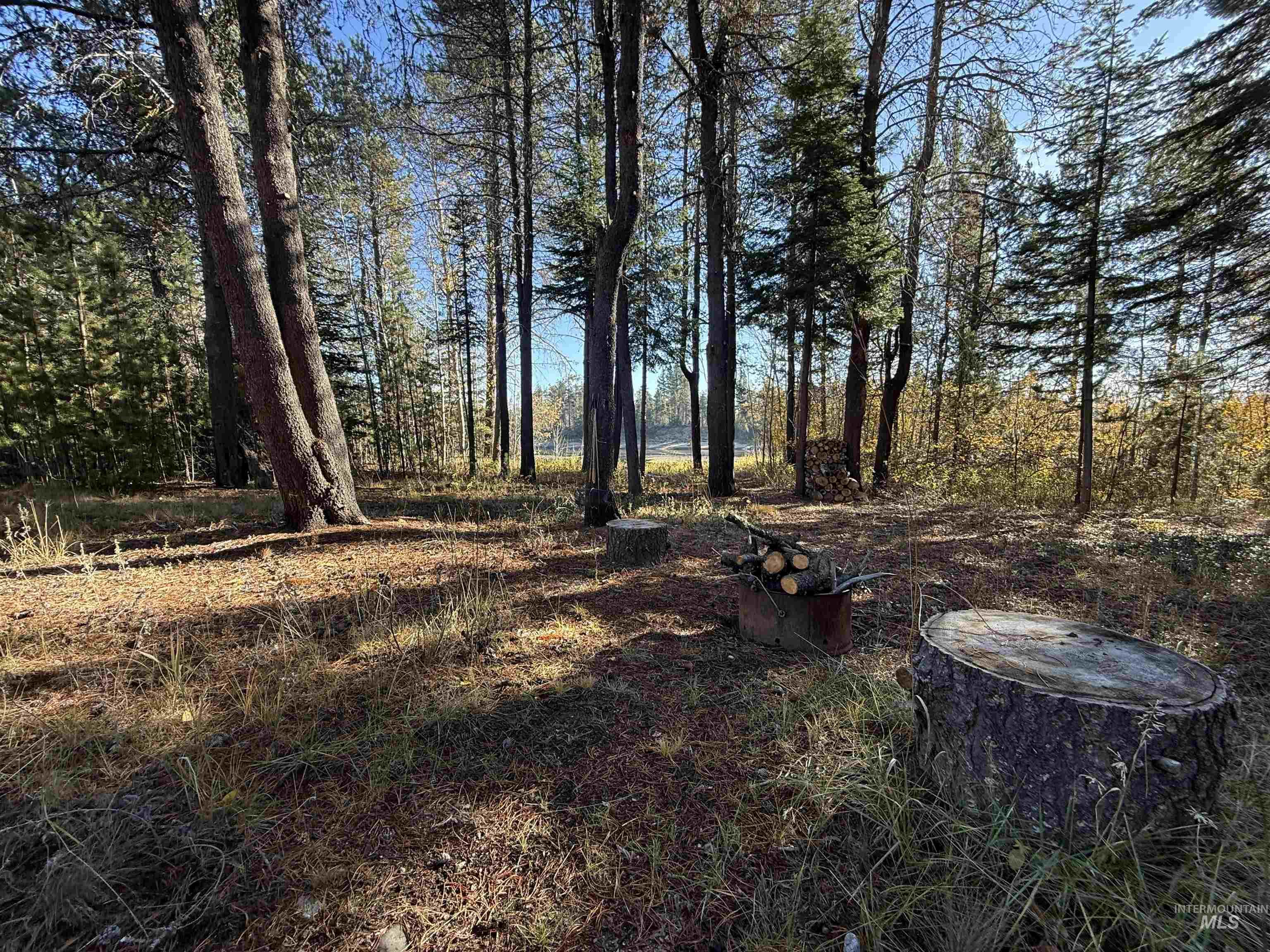 12910 DAWN DR, Donnelly, Idaho 83615, 3 Bedrooms, 2.5 Bathrooms, Residential For Sale, Price $1,200,000,MLS 98979845