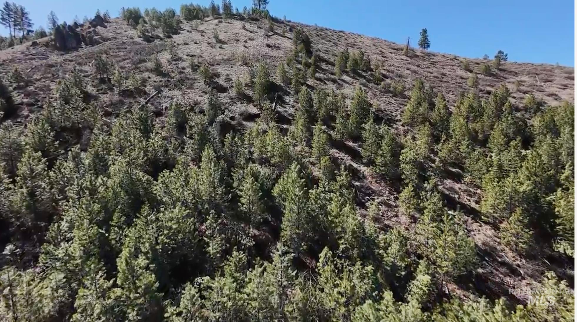 TBD W. Corral Flat Rd Lot 27, Boise, Idaho 83716, Land For Sale, Price $197,000, 98979851