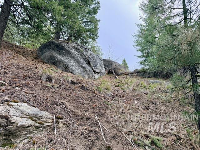 468 Hilltop Rd, Cascade, Idaho 83611, Land For Sale, Price $126,500,MLS 98979859