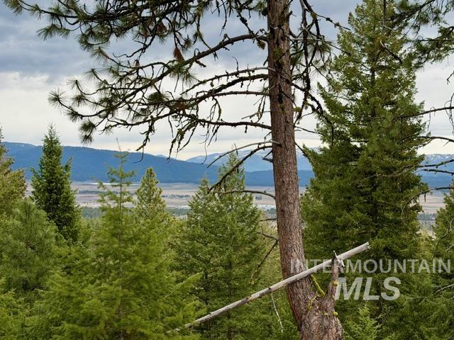 468 Hilltop Rd, Cascade, Idaho 83611, Land For Sale, Price $126,500,MLS 98979859