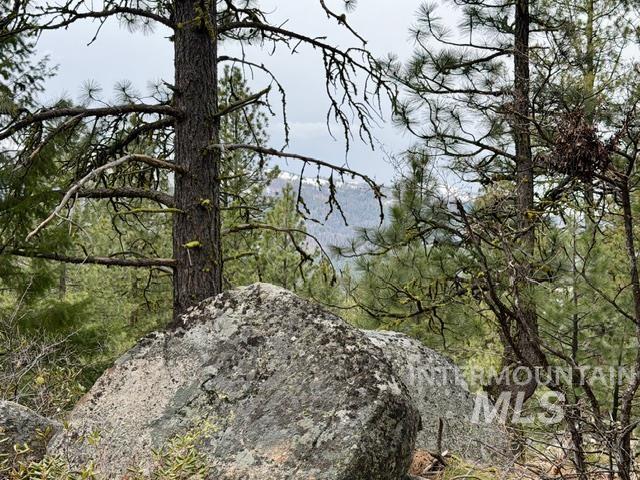 468 Hilltop Rd, Cascade, Idaho 83611, Land For Sale, Price $126,500,MLS 98979859
