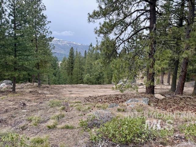 468 Hilltop Rd, Cascade, Idaho 83611, Land For Sale, Price $126,500,MLS 98979859