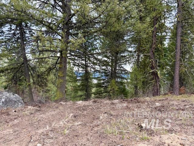 468 Hilltop Rd, Cascade, Idaho 83611, Land For Sale, Price $126,500,MLS 98979859