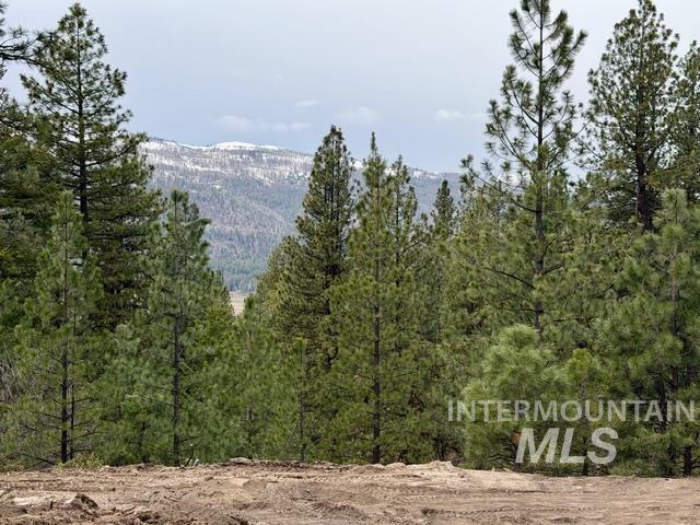468 Hilltop Rd, Cascade, Idaho 83611, Land For Sale, Price $126,500,MLS 98979859
