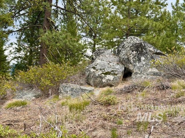 468 Hilltop Rd, Cascade, Idaho 83611, Land For Sale, Price $126,500,MLS 98979859