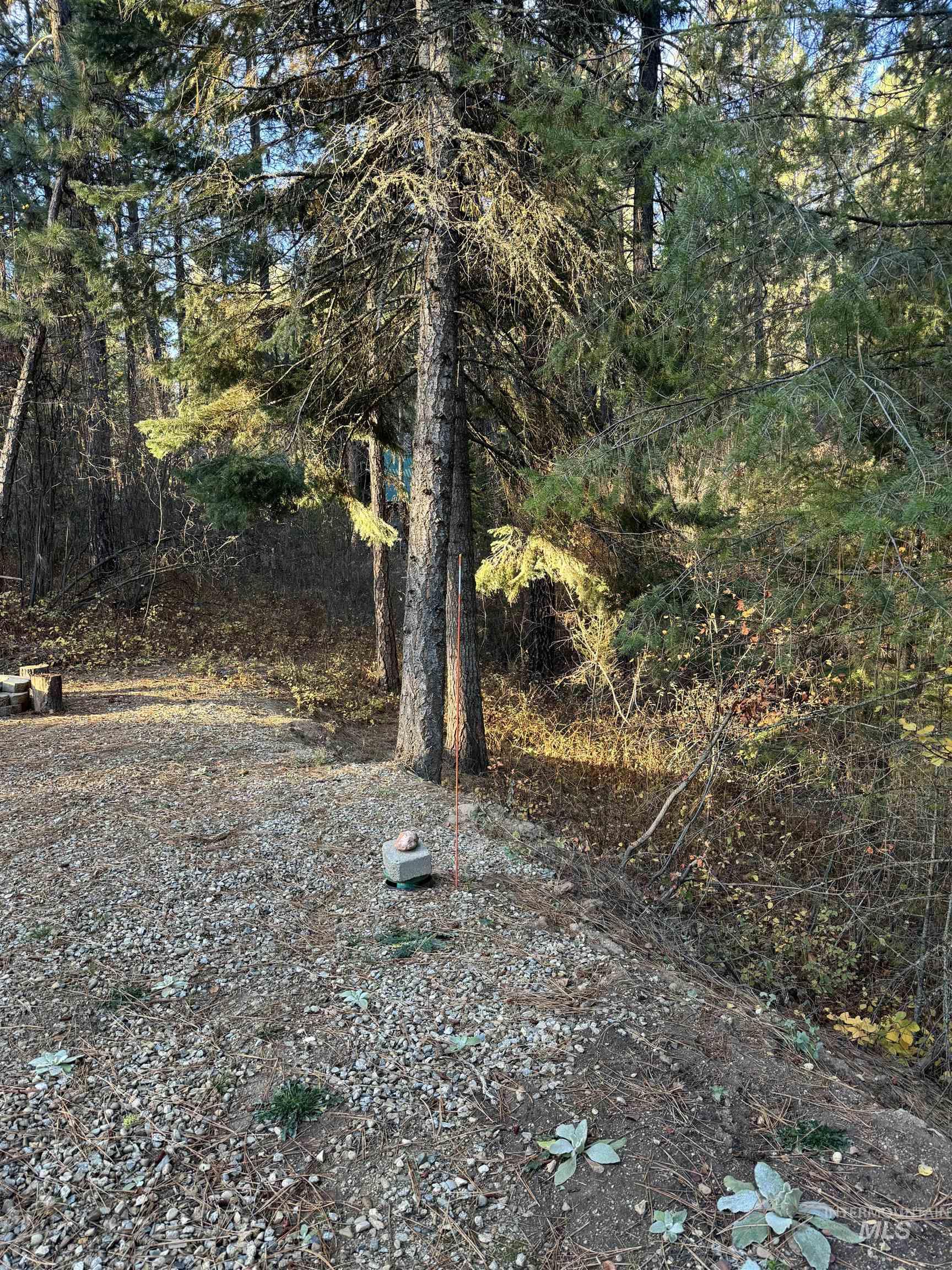 19 Frosty Hollow, Crouch, Idaho 83622, Land For Sale, Price $200,000,MLS 98979865