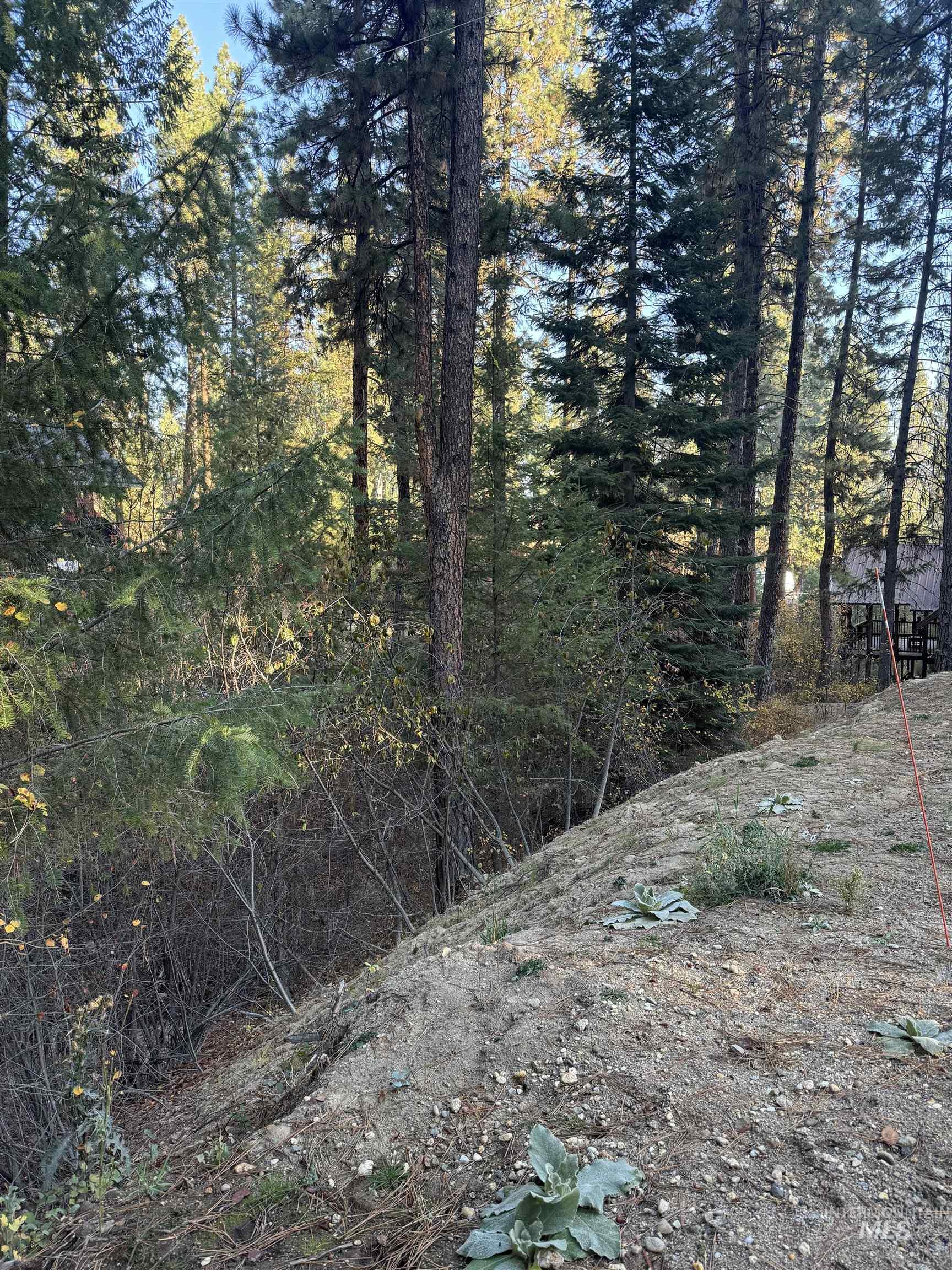 19 Frosty Hollow, Crouch, Idaho 83622, Land For Sale, Price $200,000,MLS 98979865