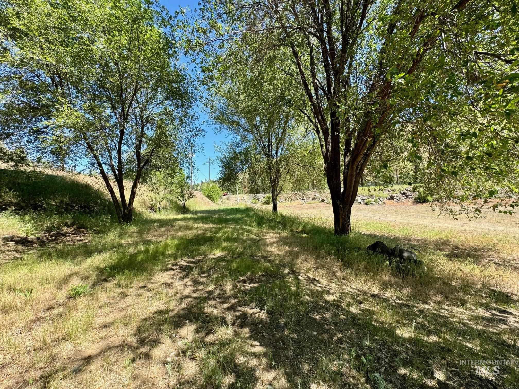 115 Helm Lane, Pollock, Idaho 83547, Land For Sale, Price $325,000,MLS 98979868