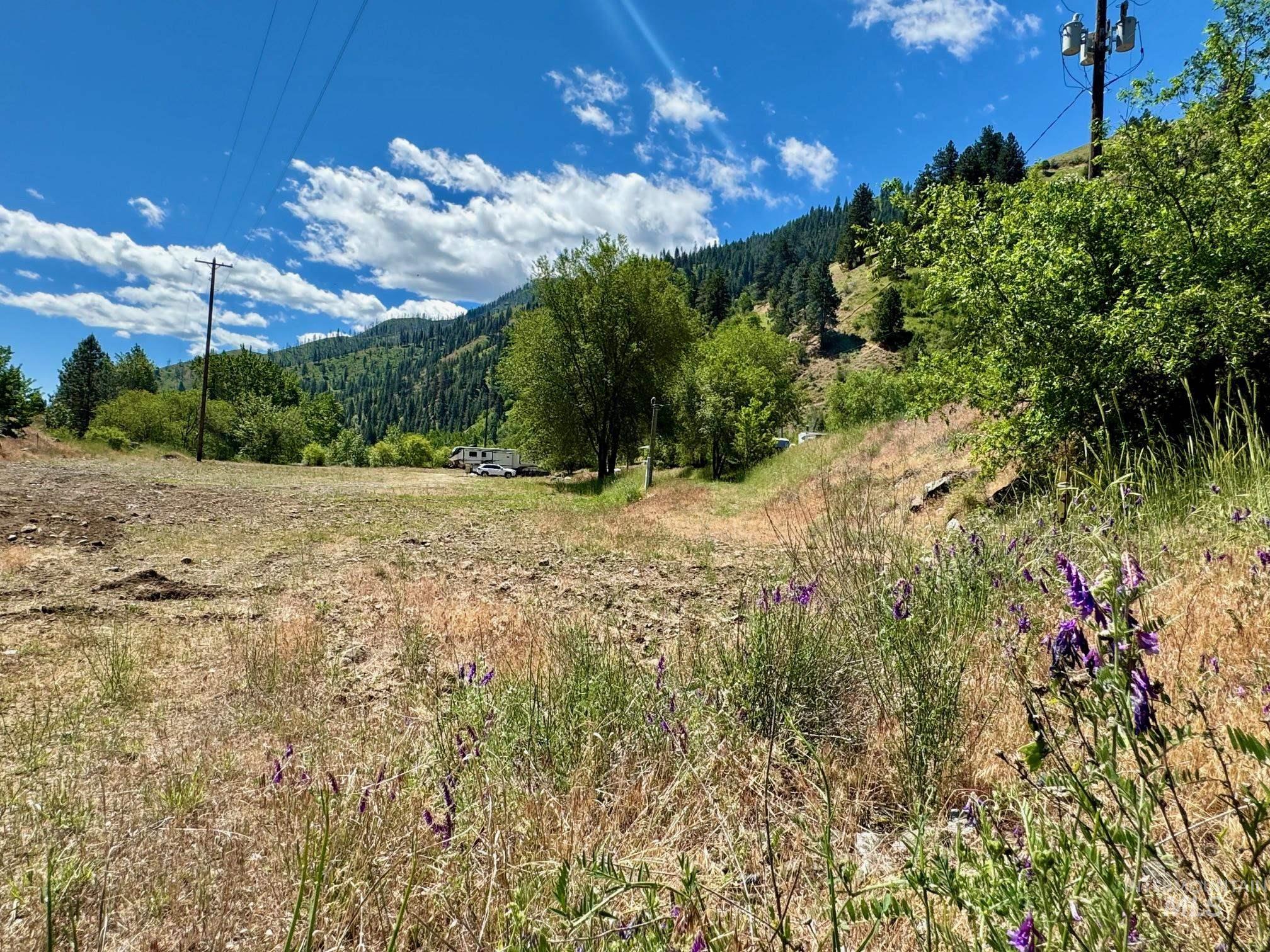 115 Helm Lane, Pollock, Idaho 83547, Land For Sale, Price $325,000,MLS 98979868