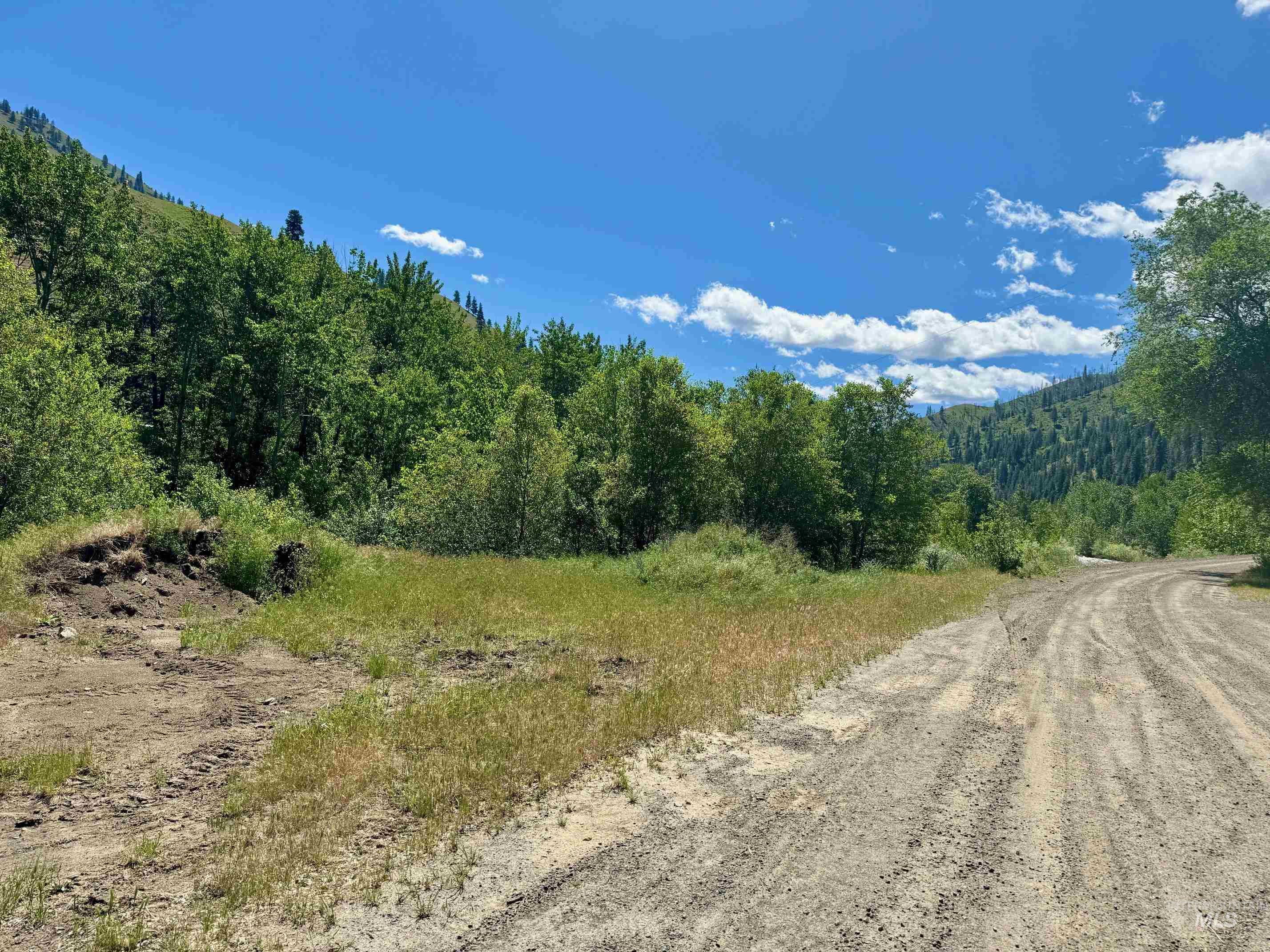 115 Helm Lane, Pollock, Idaho 83547, Land For Sale, Price $325,000,MLS 98979868